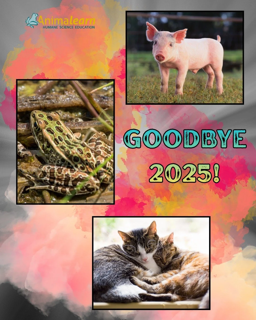 Please join us in saying goodbye to #2025. Thank you for all you have done for #humane #science #education this past year! 

#humanescience #humaneeducation #teachers #scienceeducation #dissectiondoesntcutit #putthelifebackinlifescience #animalearn #