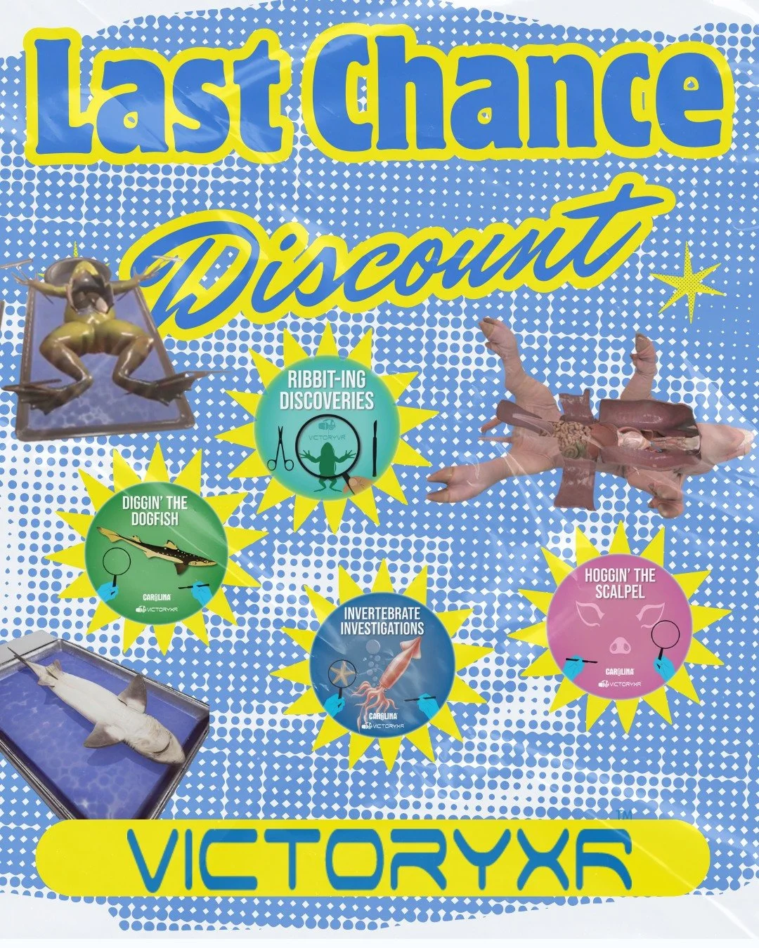 #TechTuesday Today is the last day to use the #discount code DISSECTIONS25 to get 25% off dissection licenses with @Victory_XR. Learn about #frog🐸, #pig🐷, #squid🦑, #seastar⭐, and #dogfish #shark 🦈dissection in a humane and #tech savvy way! 

#edt
