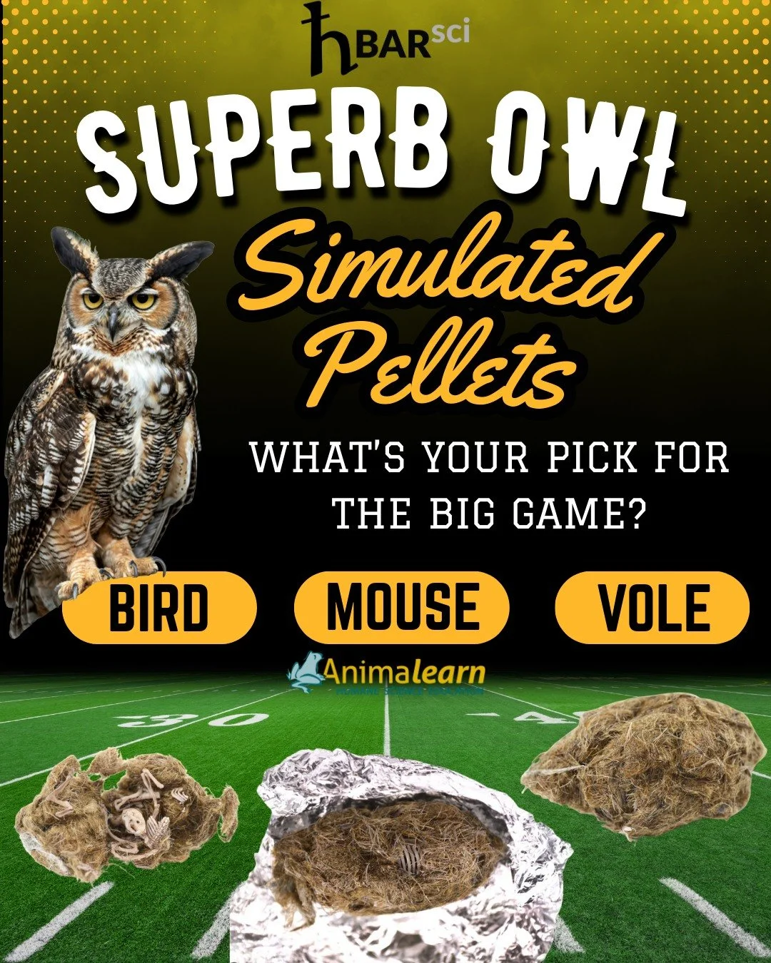 The Big Game is to figure out if your Superb #Owl #Simulated Pellet is a #bird, #mouse, or #vole.🦉Visit our partner @hbarsci to get yours today!

#owls #owlpellets #humanescience #humaneeducation #teachers #scienceeducation #dissectiondoesntcutit #p