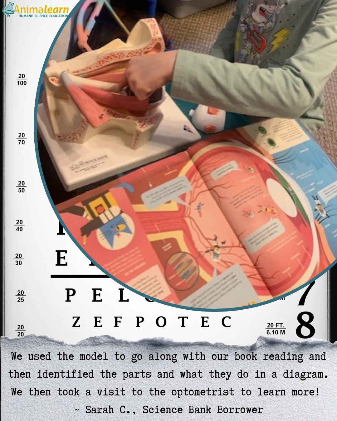 👁️ #WednesdayWisdom from #Science Bank borrower &amp; #Homeschool #Parent, Sarah C. 👁️An awesome hands-on learning experience using #humane alternatives and a trip! 👁️

#eye #eyes #humanescience #humaneeducation #teachers #scienceeducation #dissec