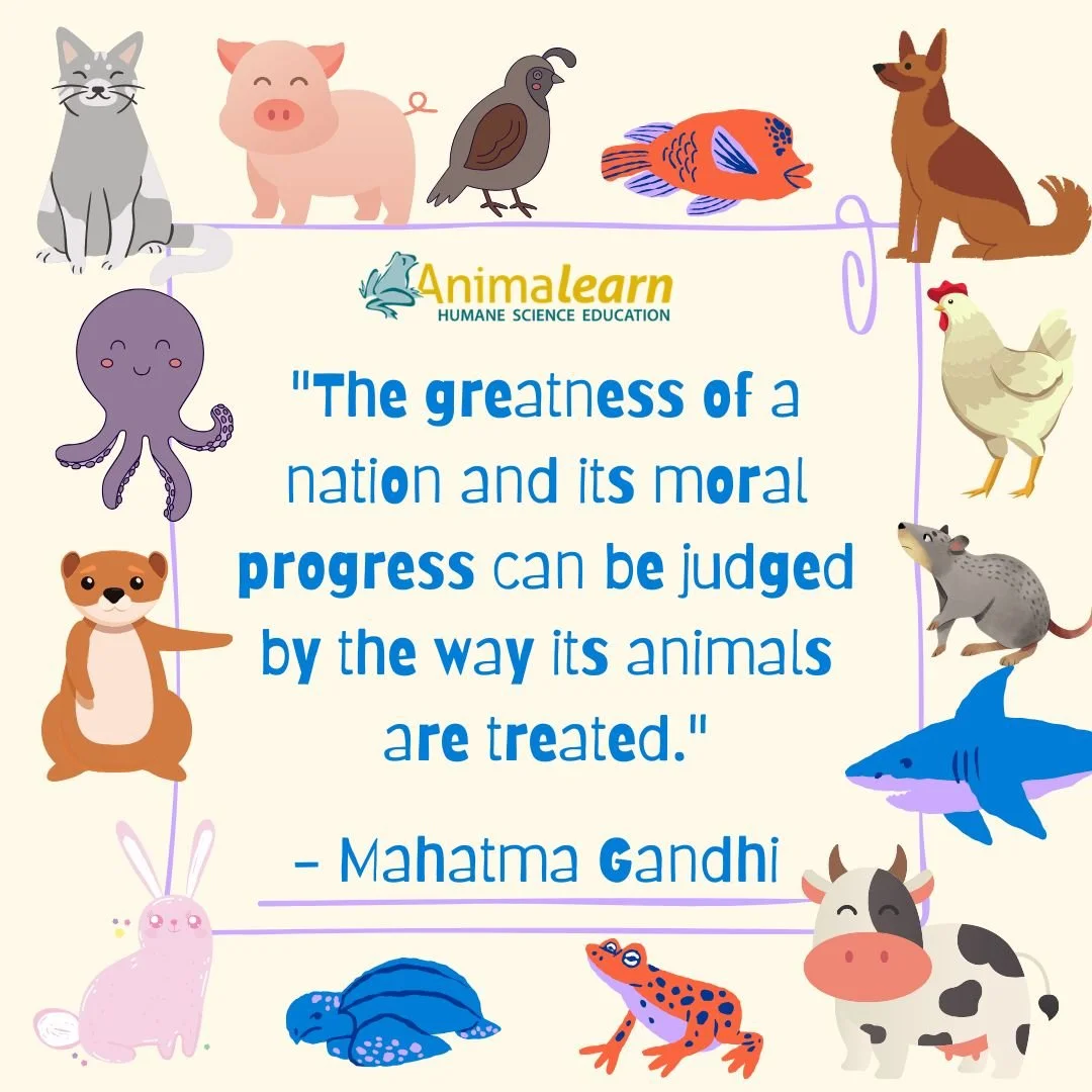 #ThrowbackThursday quote from Mahatma Gandhi. 

#humanescience #humaneeducation #teachers #scienceeducation #dissectiondoesntcutit #putthelifebackinlifescience #animalearn #science #lifesciences #anatomy #biology #scienceteachers #scienceteachersofin