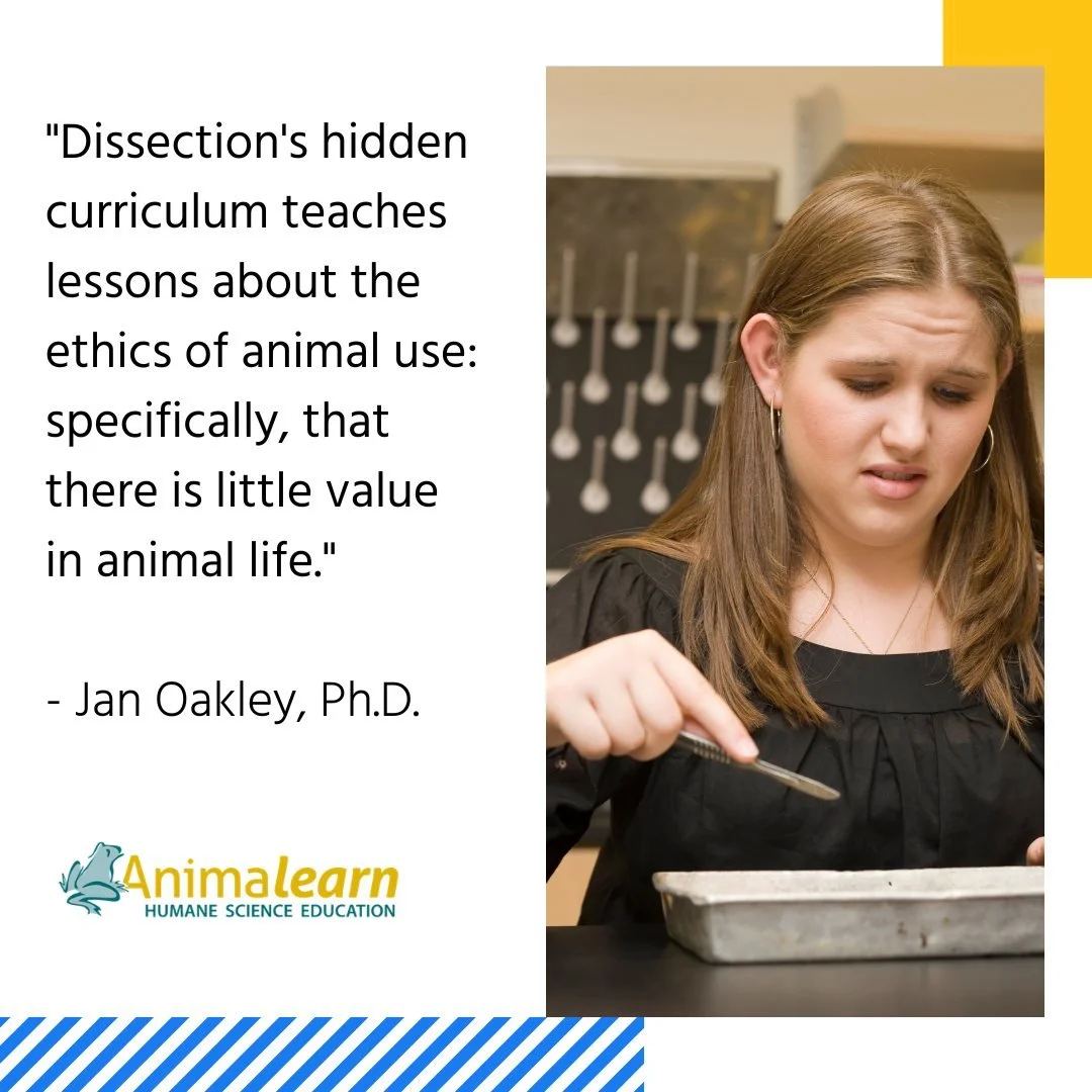 #ThrowbackThursday The hidden curriculum of #dissection teaches students that #animals are disposable objects and that their lives are not valued. 🐸😺🐷 

#humanescience #humaneeducation #teachers #scienceeducation #dissectiondoesntcutit #putthelife