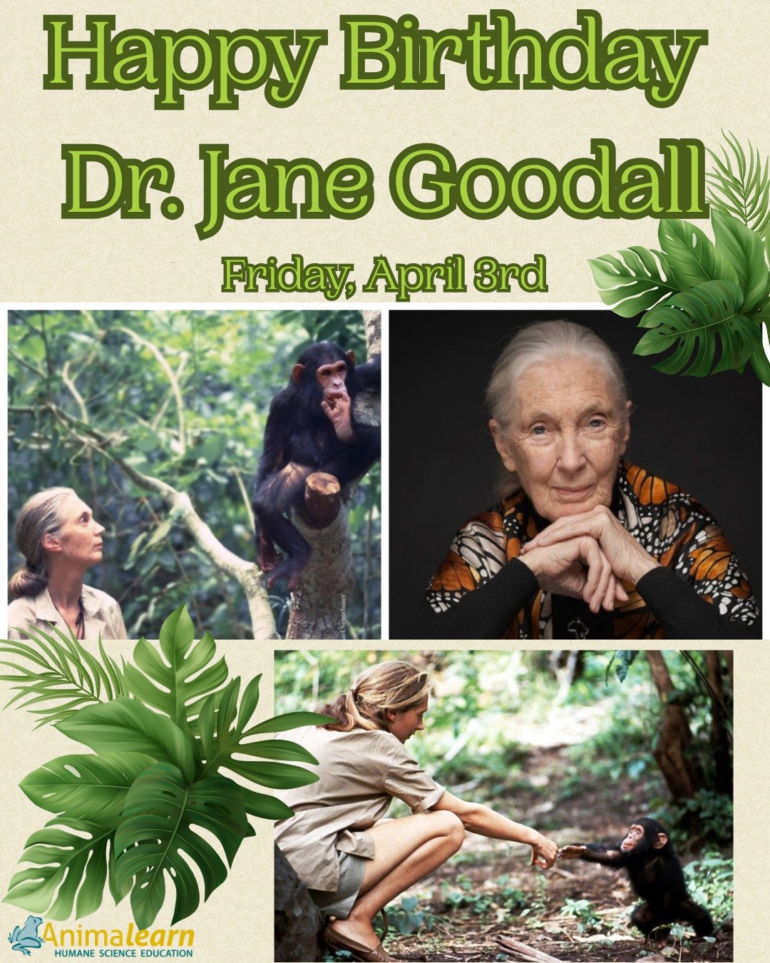 Today we celebrate Dr. Jane Goodall what would be her 92nd birthday, on what is now #JaneGoodallDay. You can honor her legacy by treating all animals with respect and kindness.  @janegoodallinst 

#humanescience #humaneeducation #teachers #scienceedu