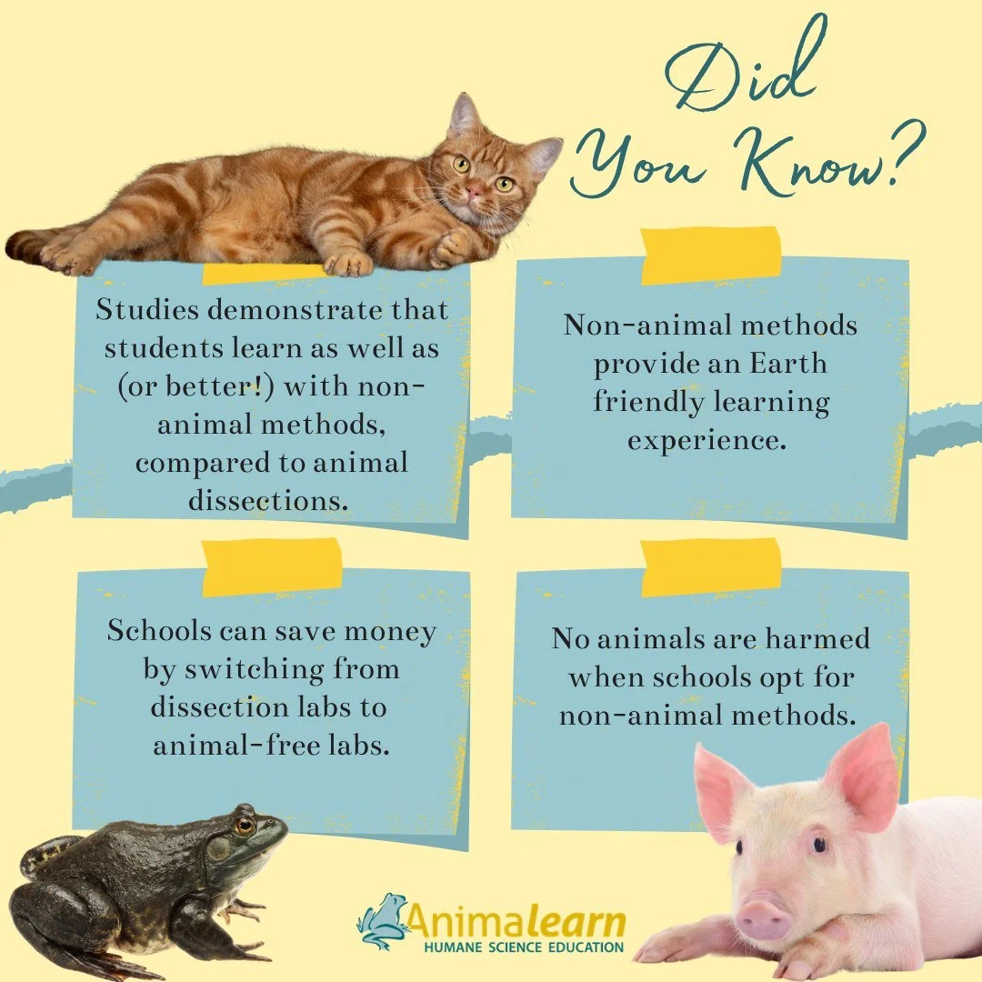 #ThrowbackThursday No harm to #animals, no harm to the #environment, #schools save money, AND #students learn just as well (if not better) with models. Explain like I'm five as to why everyone isn't using #humane alternatives. 🐸😺🐷

#humanescience 