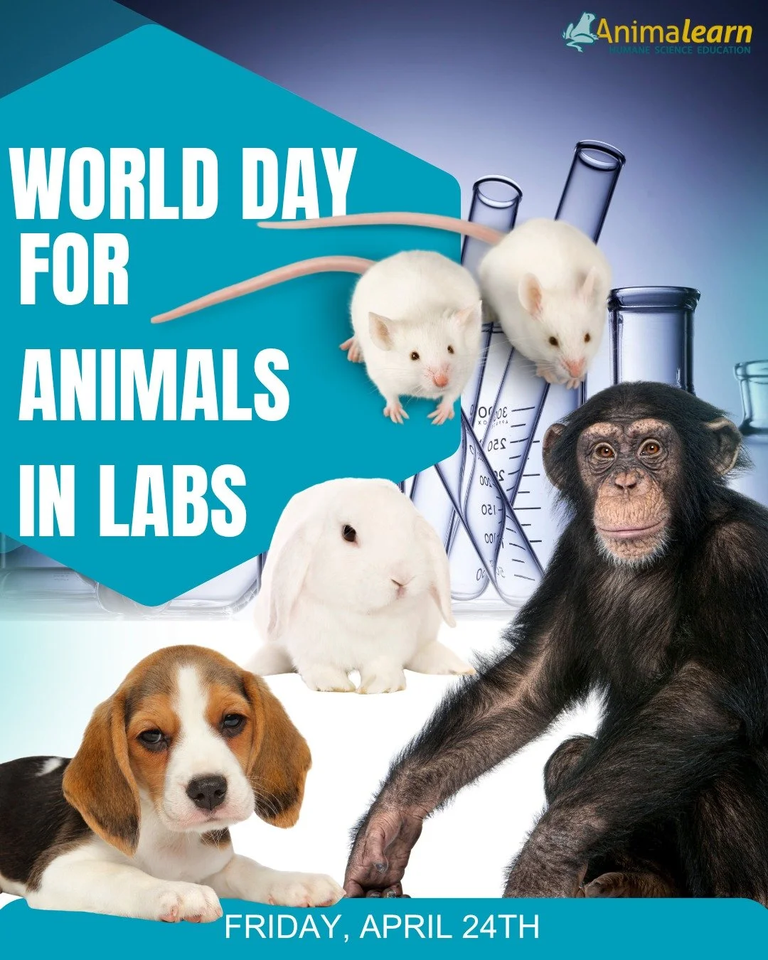 Today is #WorldDayforAnimalsinLabs! 🐇 You can support #animals in labs by using @leapingbunnyprogram certified products, by promoting humane alternatives in research, and by engaging in #humane #science #education! 🐇 

 #worlddayforanimalsinlaborat