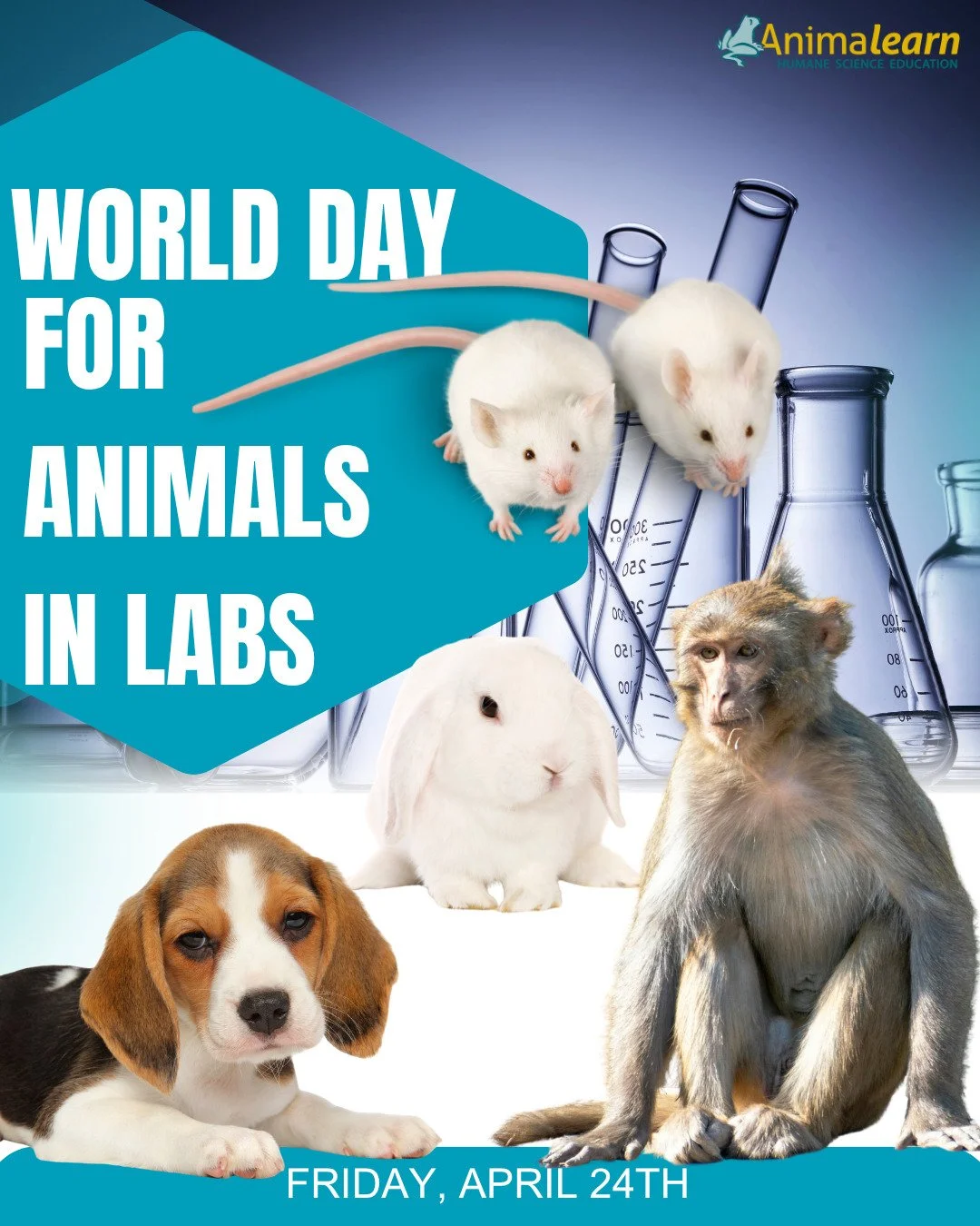 Friday was #WorldDayforAnimalsinLabs! 🐇 You can support #animals in labs by using @leapingbunnyprogram certified products, by promoting humane alternatives in research, and by engaging in #humane #science #education! 🐇

#worlddayforanimalsinlaborat