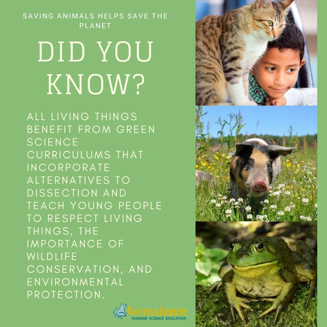 #ThrowbackThursday Green #Science Curriculums benefit #students, #animals, and the #environment. 🐸😺🐷 

#humanescience #humaneeducation #teachers #scienceeducation #dissectiondoesntcutit #putthelifebackinlifescience #animalearn #science #lifescienc