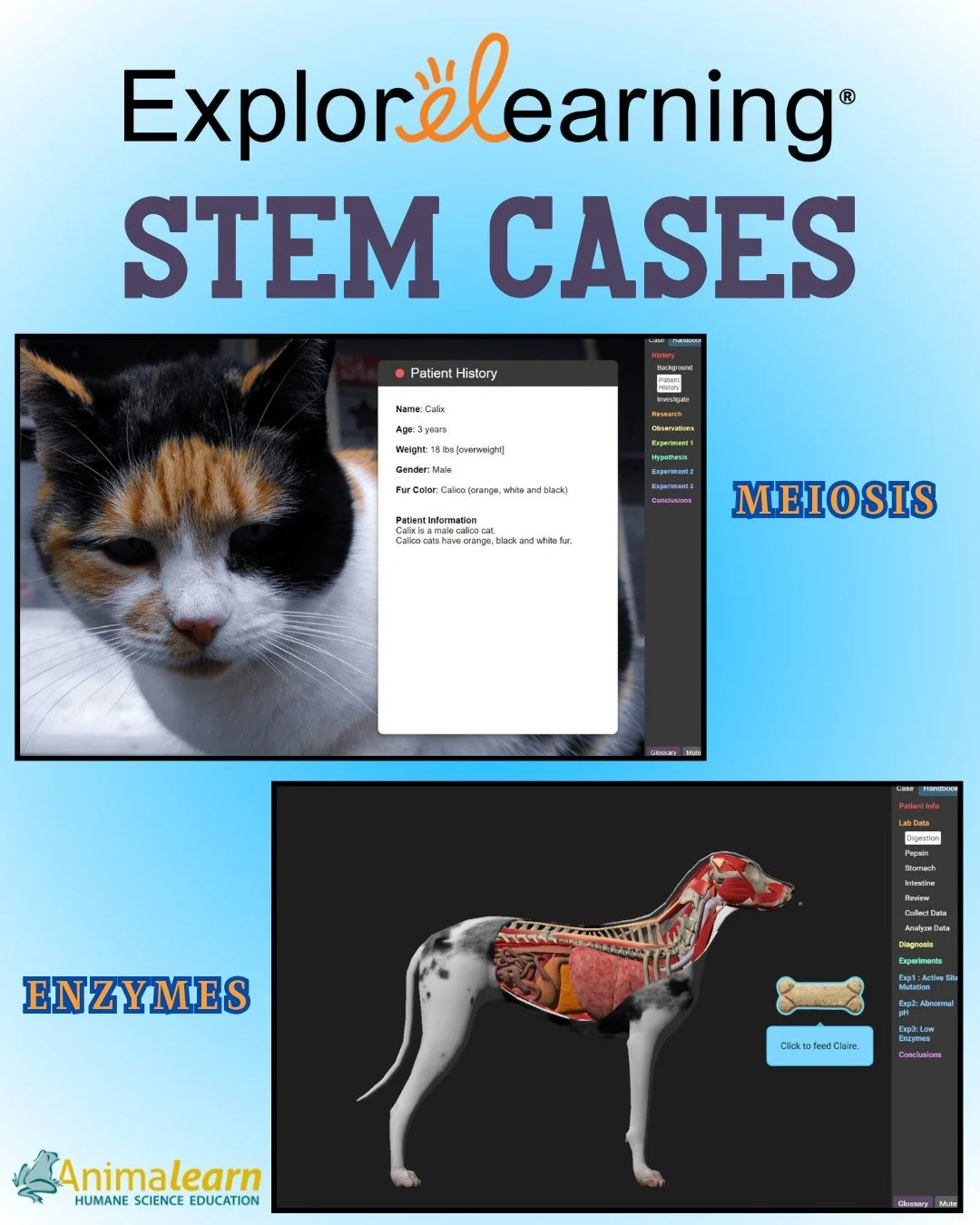 #TechTuesday Visit our friends, @elgizmos, to explore their FREE gizmos and you can learn about #genetics and #anatomy in #cats &amp; #dogs with the Meowsis &amp; #Enzyme #STEM cases! 😺🐶 

#humanescience #humaneeducation #teachers #scienceeducation