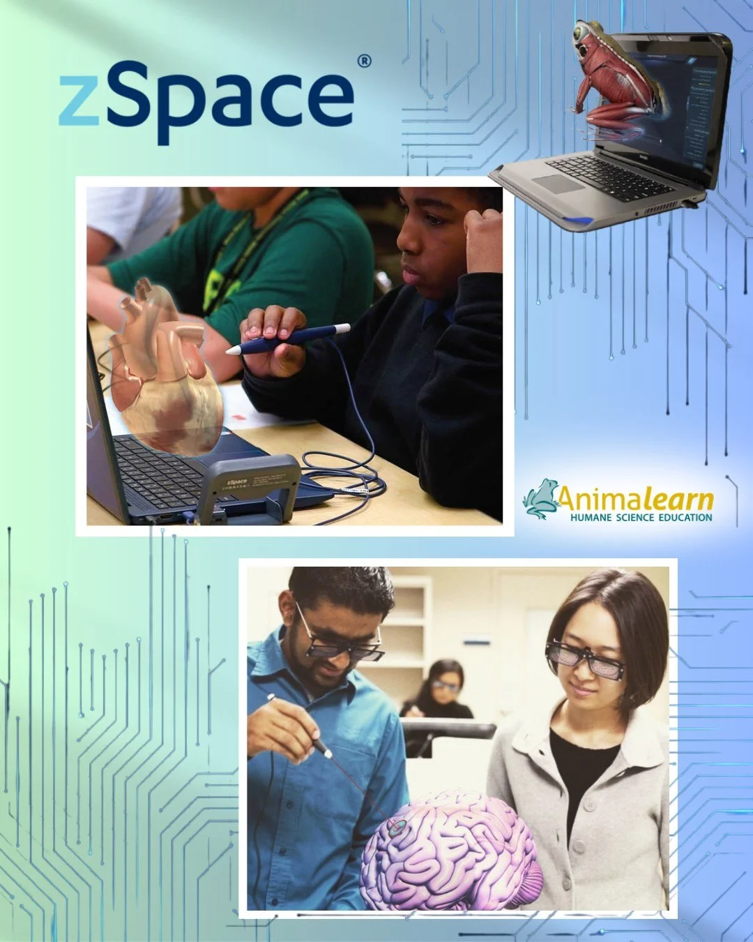 #TechTuesday Our partner @zspace.inc is making #STEAM #education a tangible reality with their innovative #anatomy and #dissection models. 

#humanescience #humaneeducation #teachers #scienceeducation #dissectiondoesntcutit #putthelifebackinlifescien