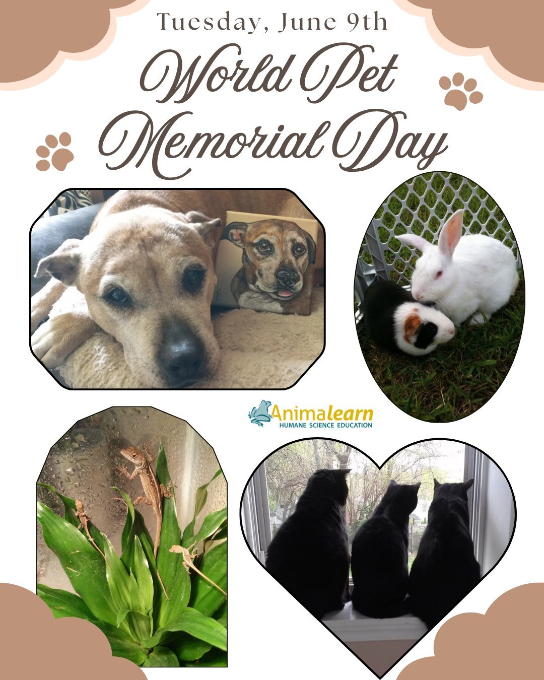 Today is #WorldPetMemorialDay. Please take a moment to remember the #animal companions that we have loved and lost. ❤️&zwj;🩹

#petmemorialday #AnimalCompassion #humaneeducation #teachers #animalearn #k12