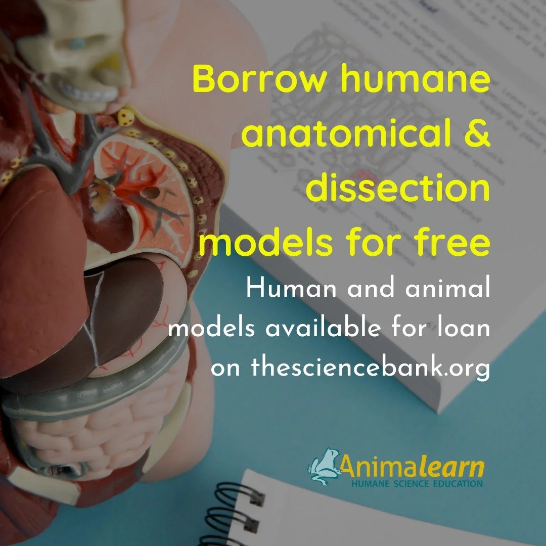 #ThrowbackThursday There's no need to use #animals for #ComparativeAnatomy when you can use #human models. Borrow all models for FREE from The #Science Bank! 

#humanescience #humaneeducation #teachers #scienceeducation #dissectiondoesntcutit #putthe