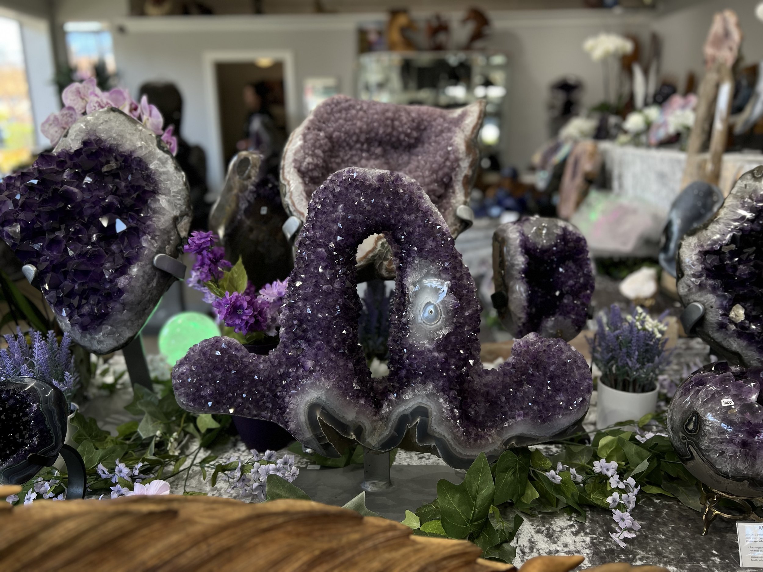 IMG_8320.jpeg