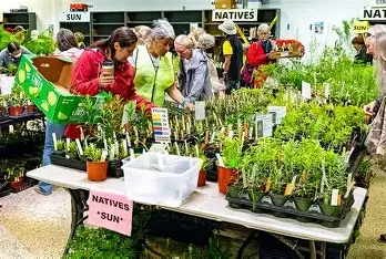 West Pott Master Gardeners Plant Sale