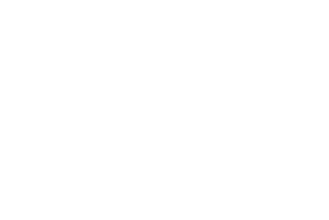 Fednav Logo