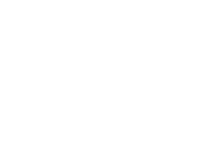 Alavida - Kane and Fetterly Logo