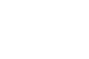 Chinese Foundation Logo