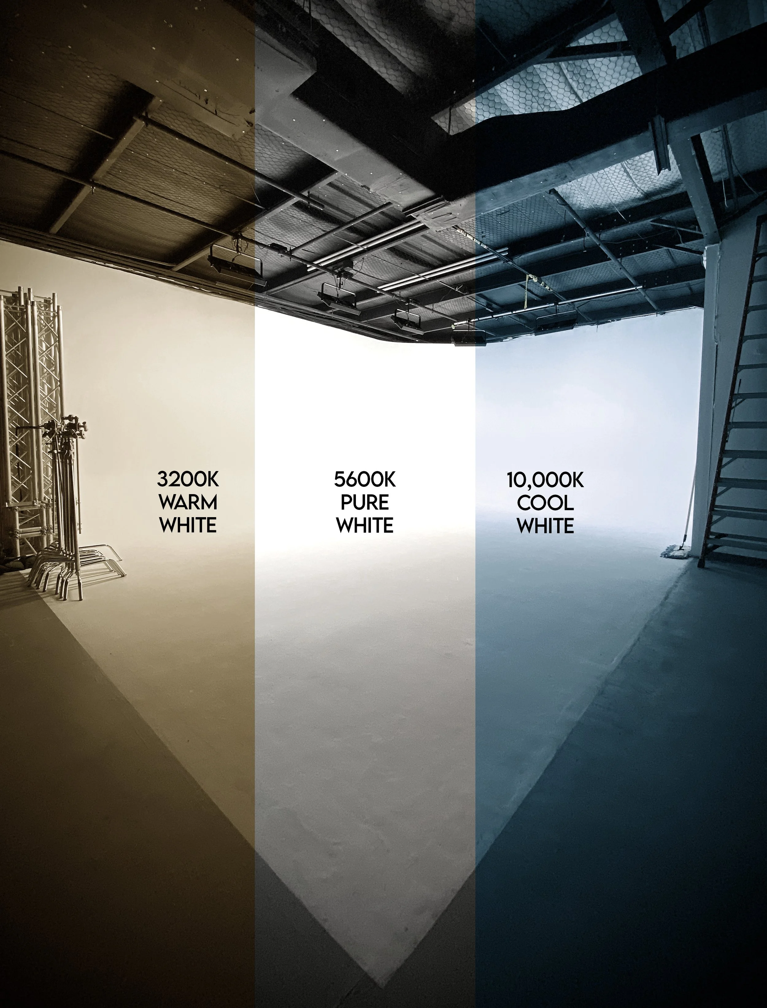 Archetype CCT Screen.jpg