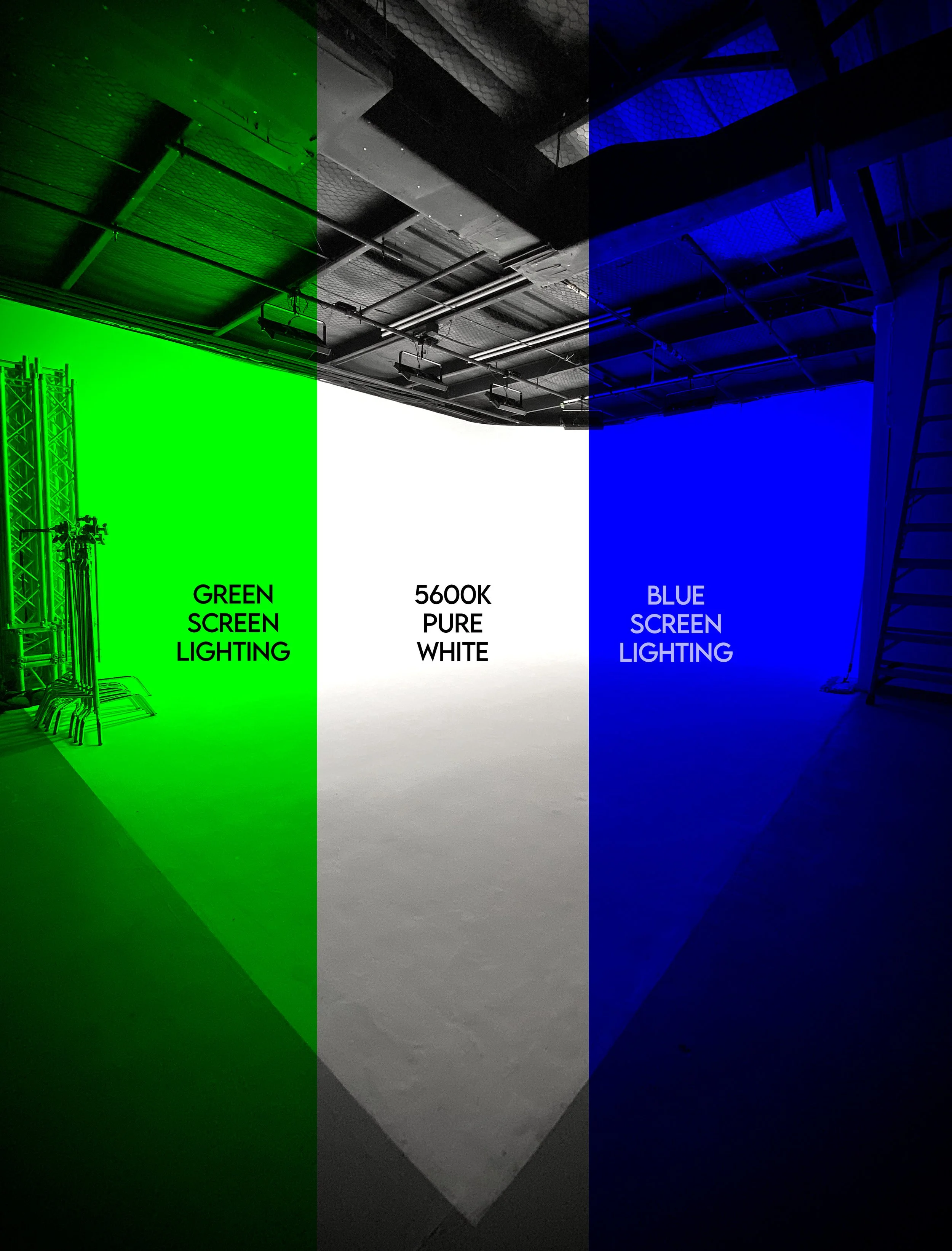 Archetype G&B Screen.jpg