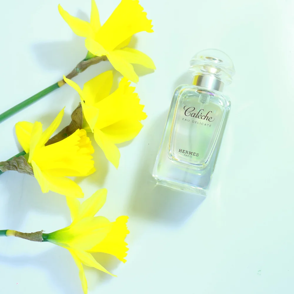 エルメス CALECHE EAU DELICATE 香水 HERMES オー ド トワレ 《カレーシュ》 - 100 ml | Hermès - エルメス
