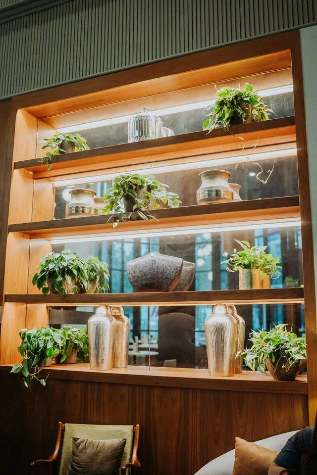 Wooden wall with shelves holding potted plants, decorative vases, and glass jars, with a mirror reflecting a room and chairs beneath.
