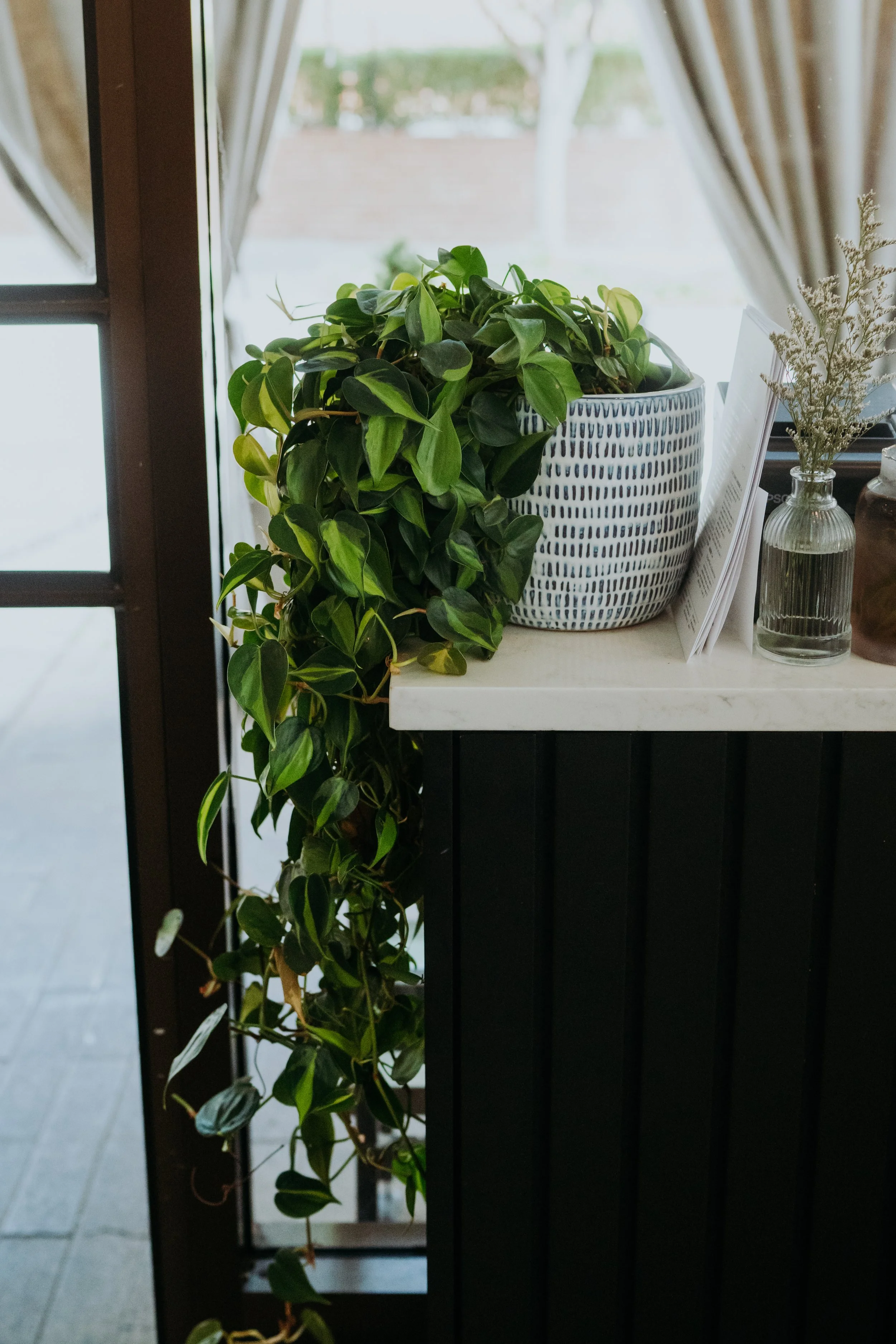 LizaPlants-256 (1).jpg