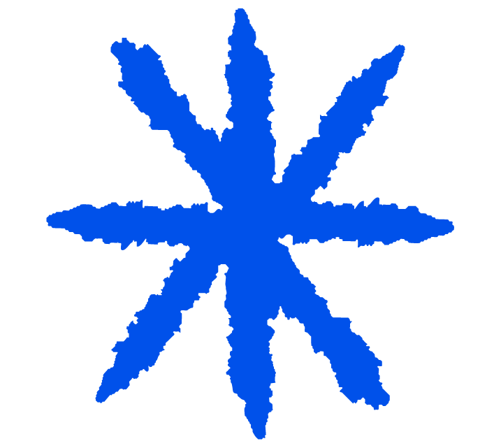 busy studio ✴︎ creative design