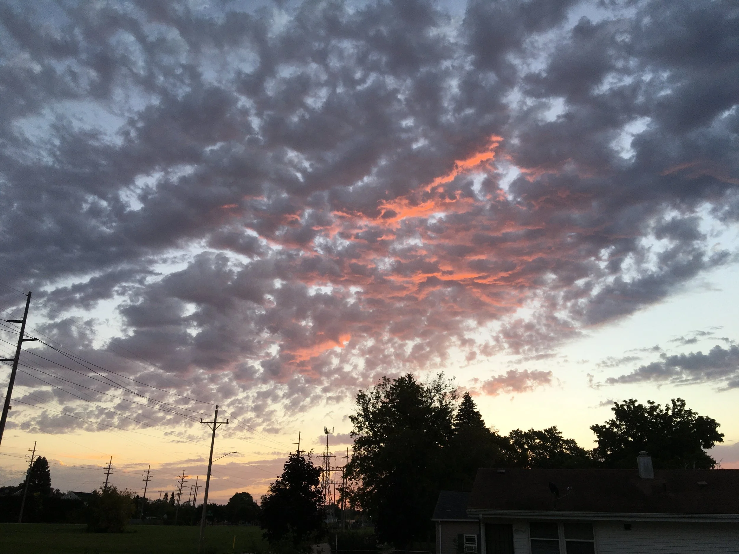 IMG_2249.jpeg