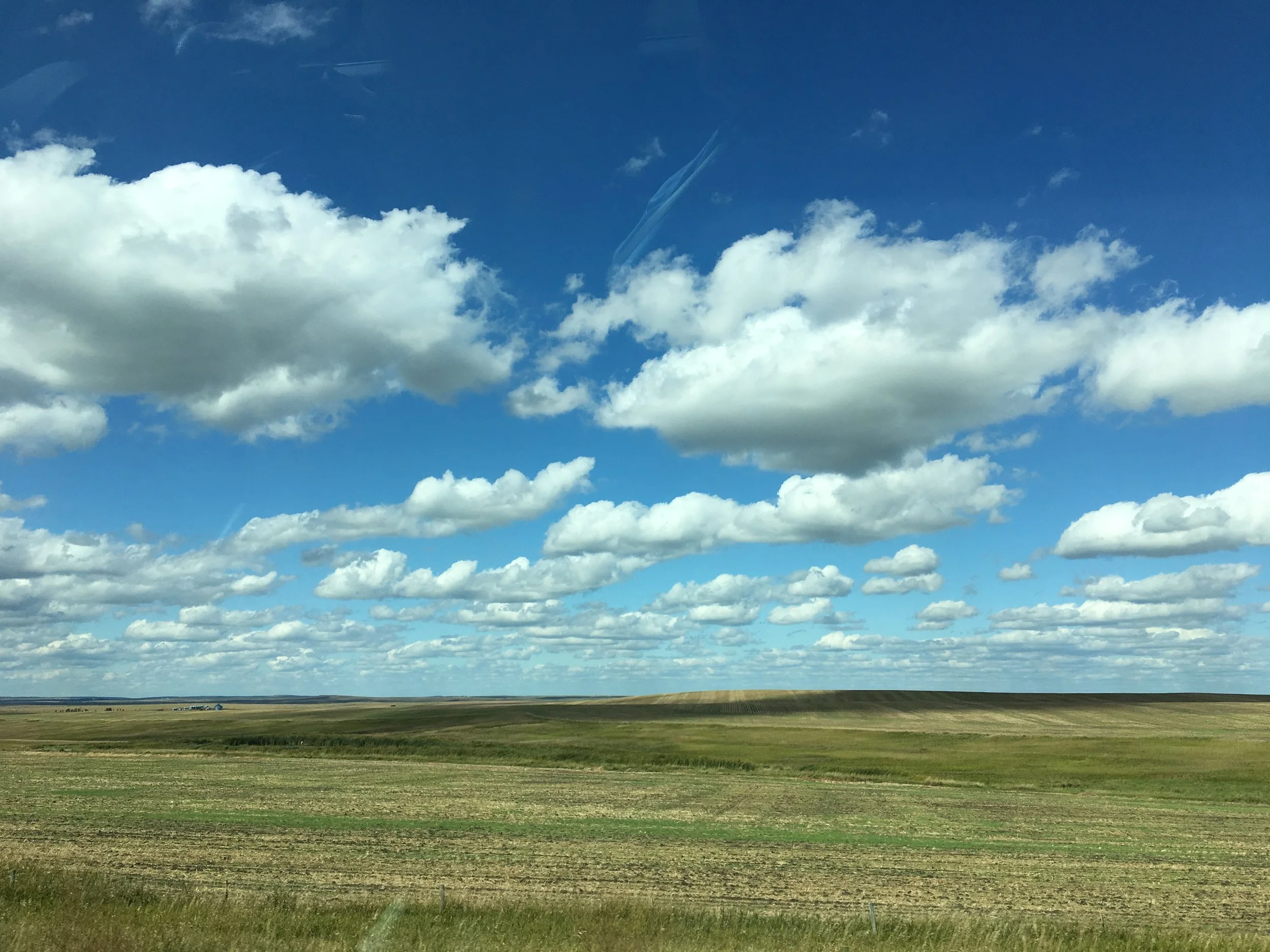 IMG_0985.jpeg