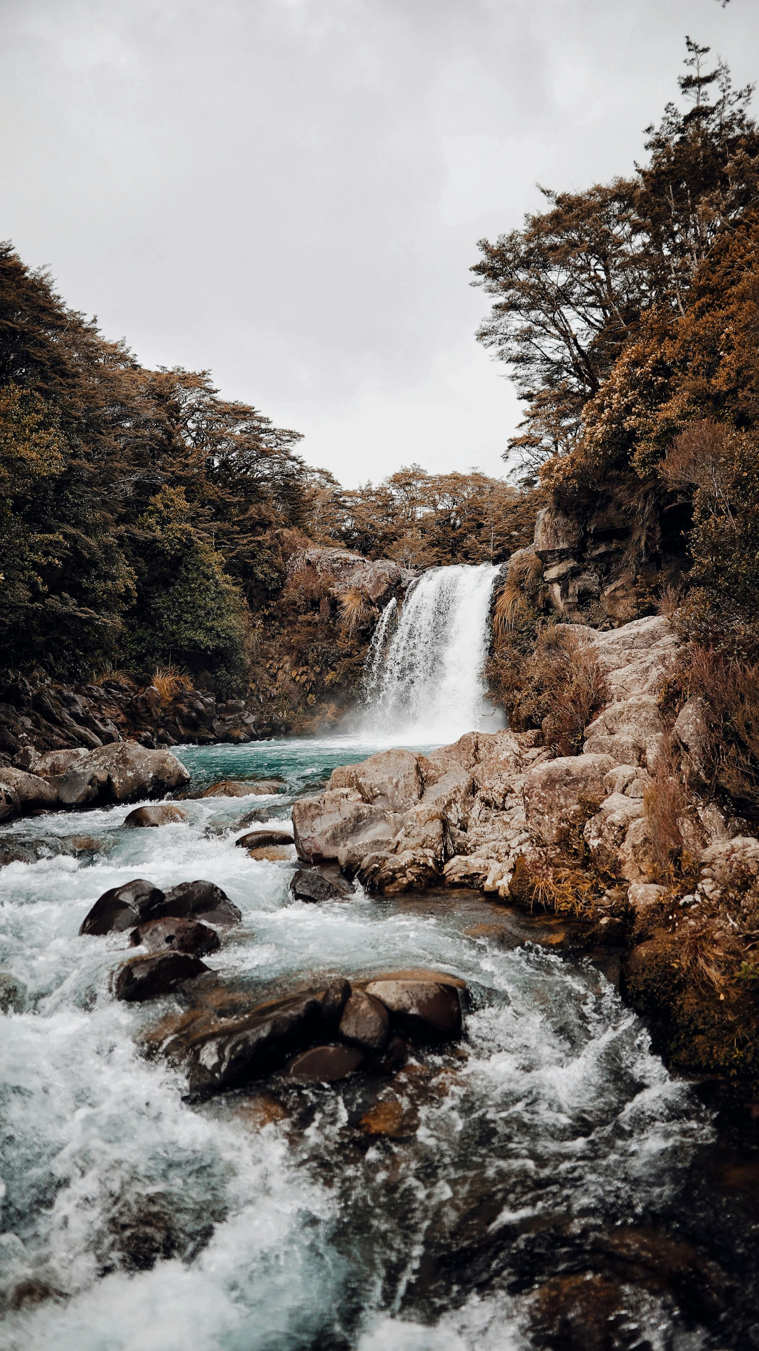 archee-lal-mVoOCaiRuBI-unsplash.jpg