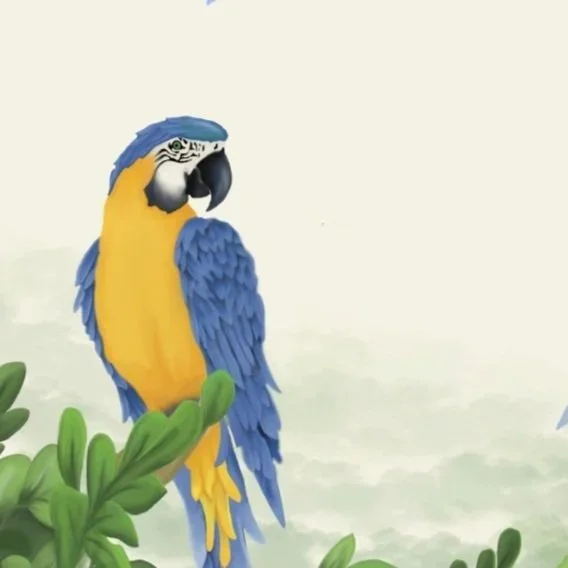 Florida Gulf Coast University | Digital Illustration