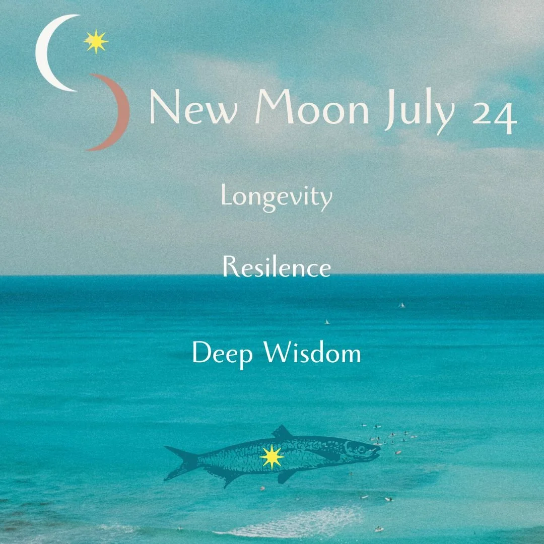 New Moon Theme for July 2025