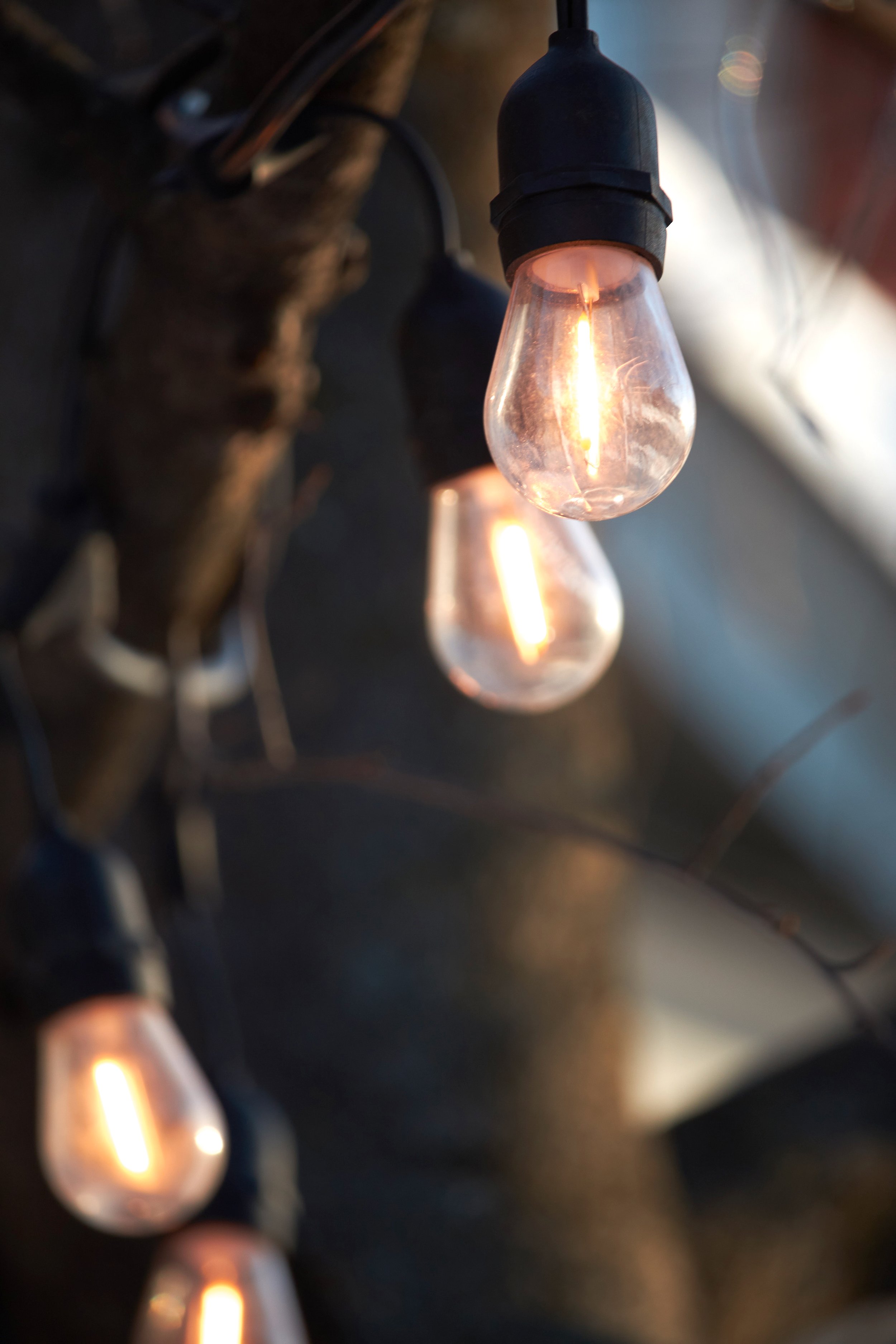 Light portfolio.jpg