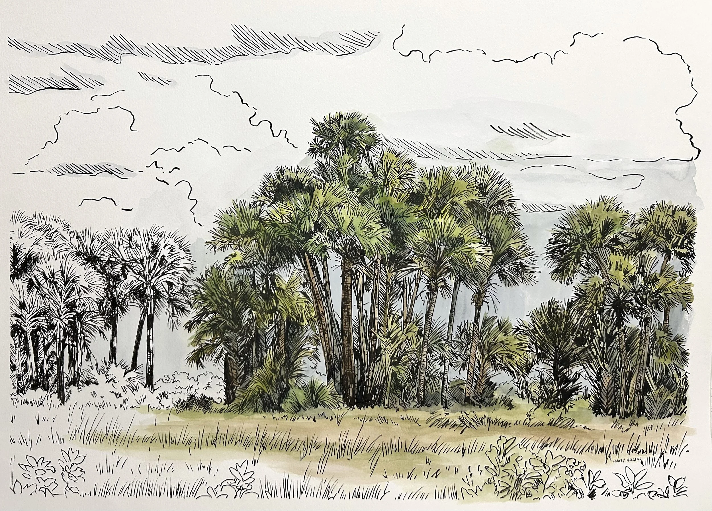 Old Florida.jpg