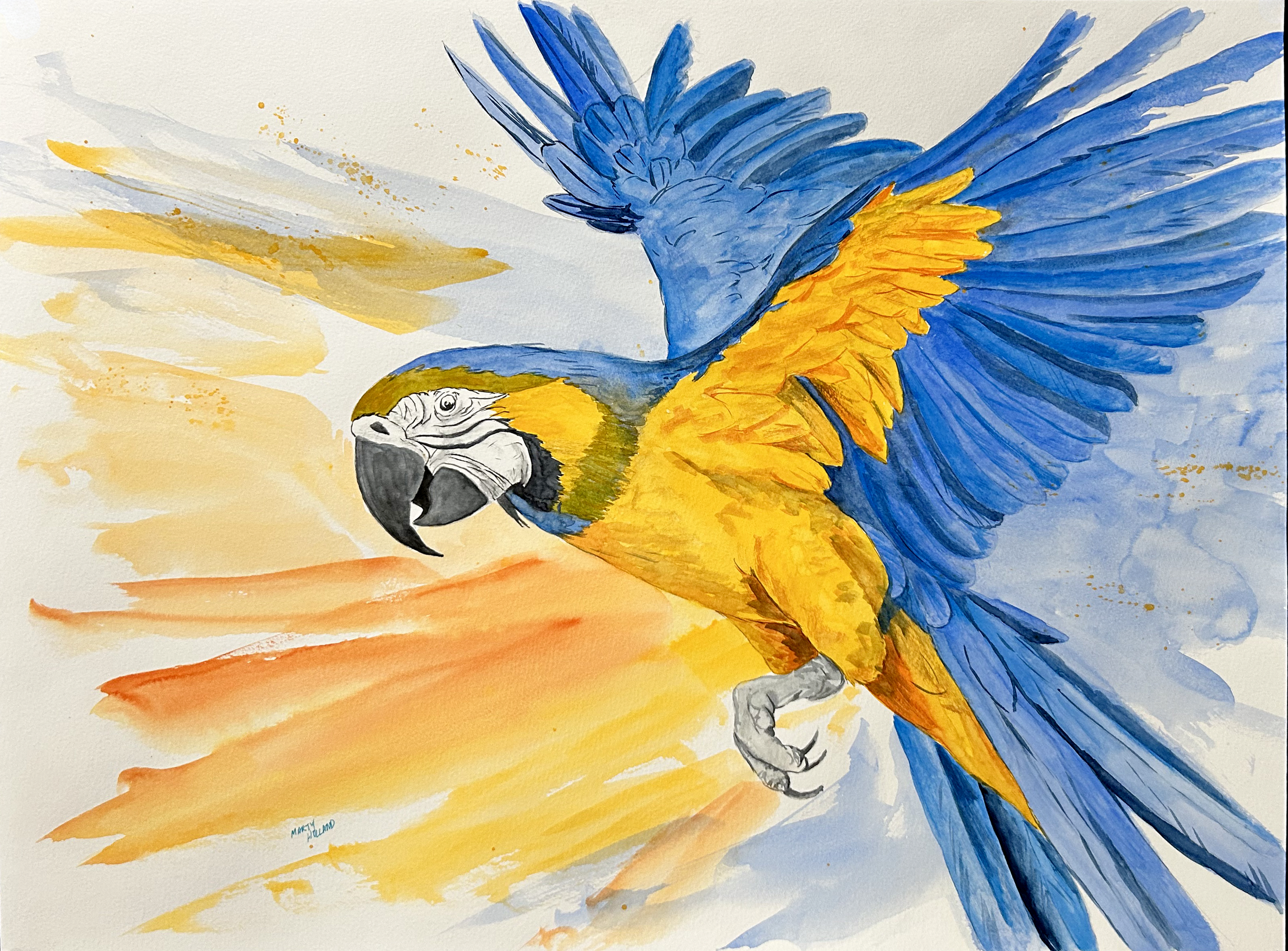 TWS Brush Strokes