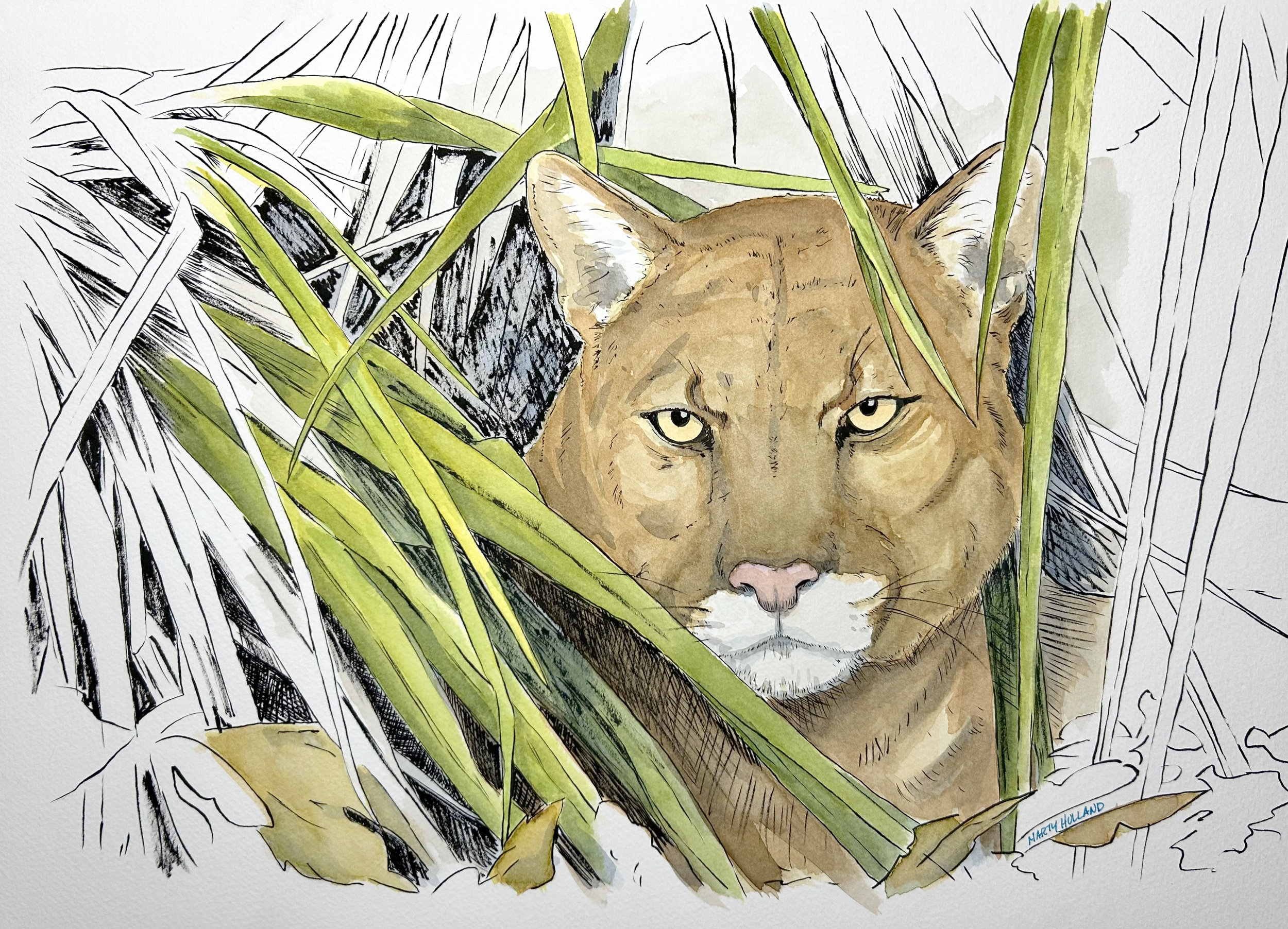 31st Annual Wildlife Arts Festival