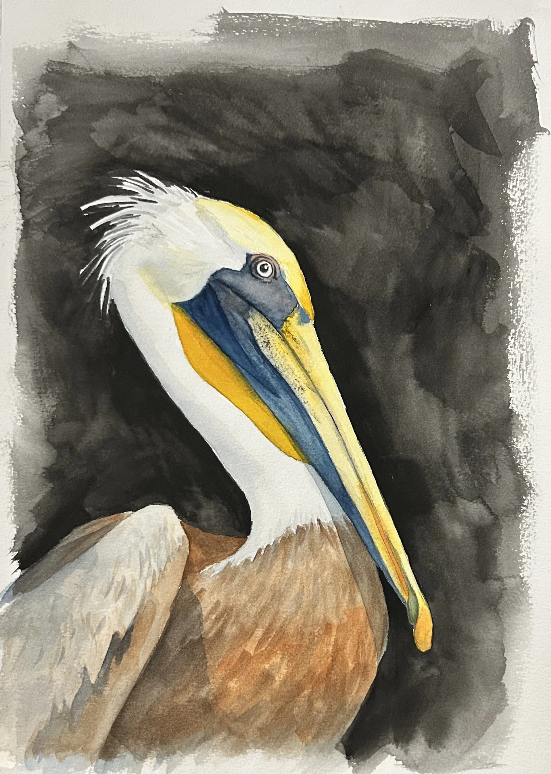 Pelican 25 - Starting at $25, transform your space with stunning textured watercolor Pelican matte poster that evoke a sense of calm and creativity. This vibrant art piece is perfect for anyone looking to add a touch of elegance to their home or offi