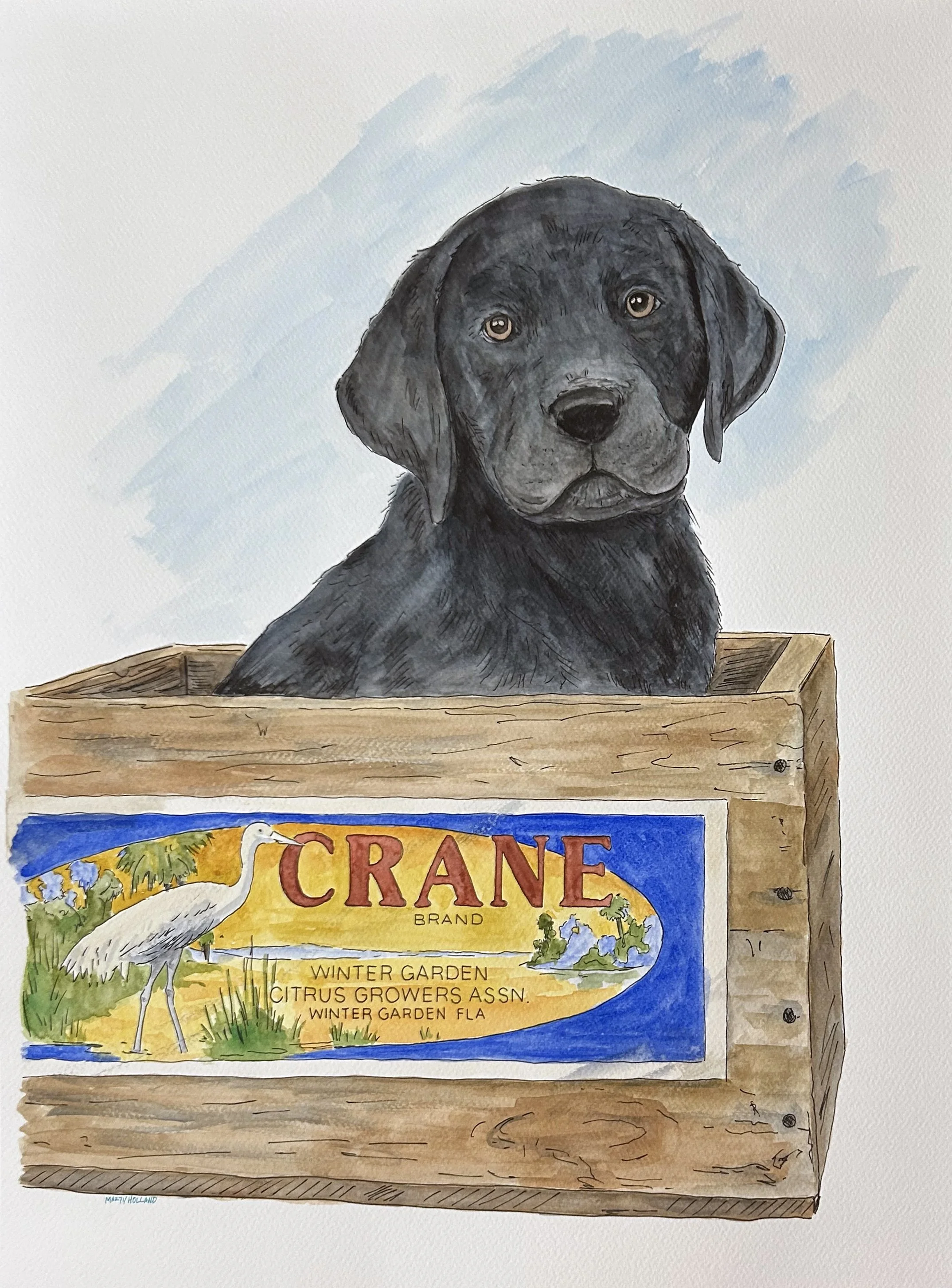 Lab in the box.jpg