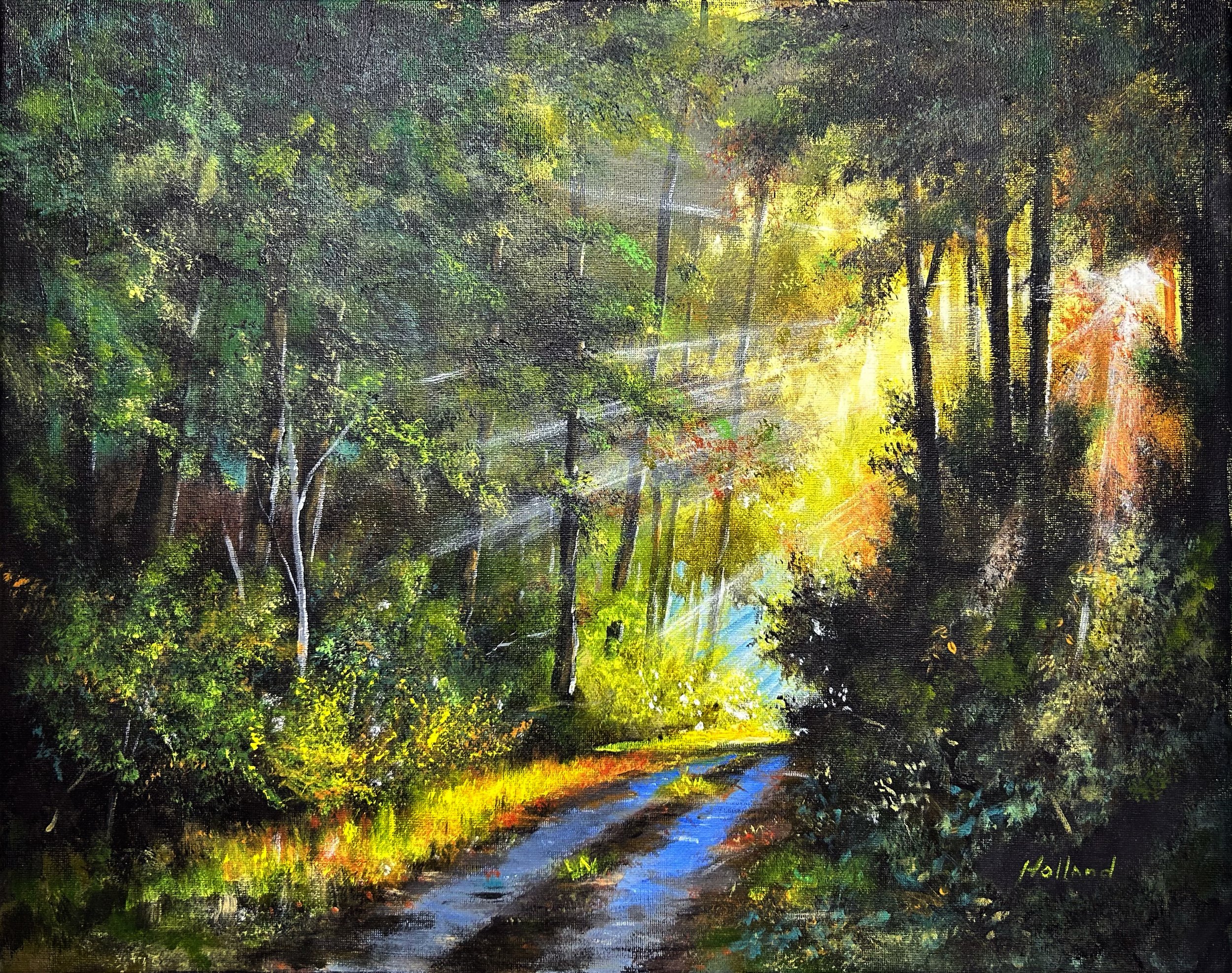 The Back Road.jpg