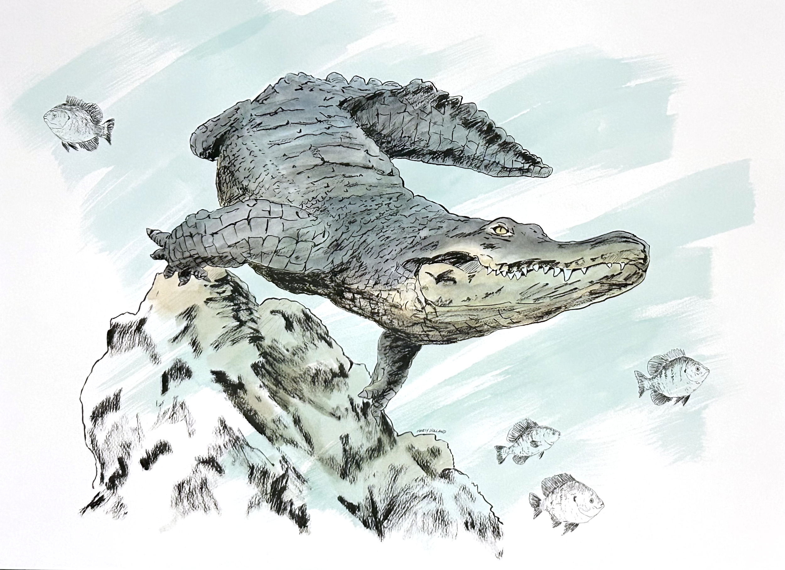 gator on the go.png