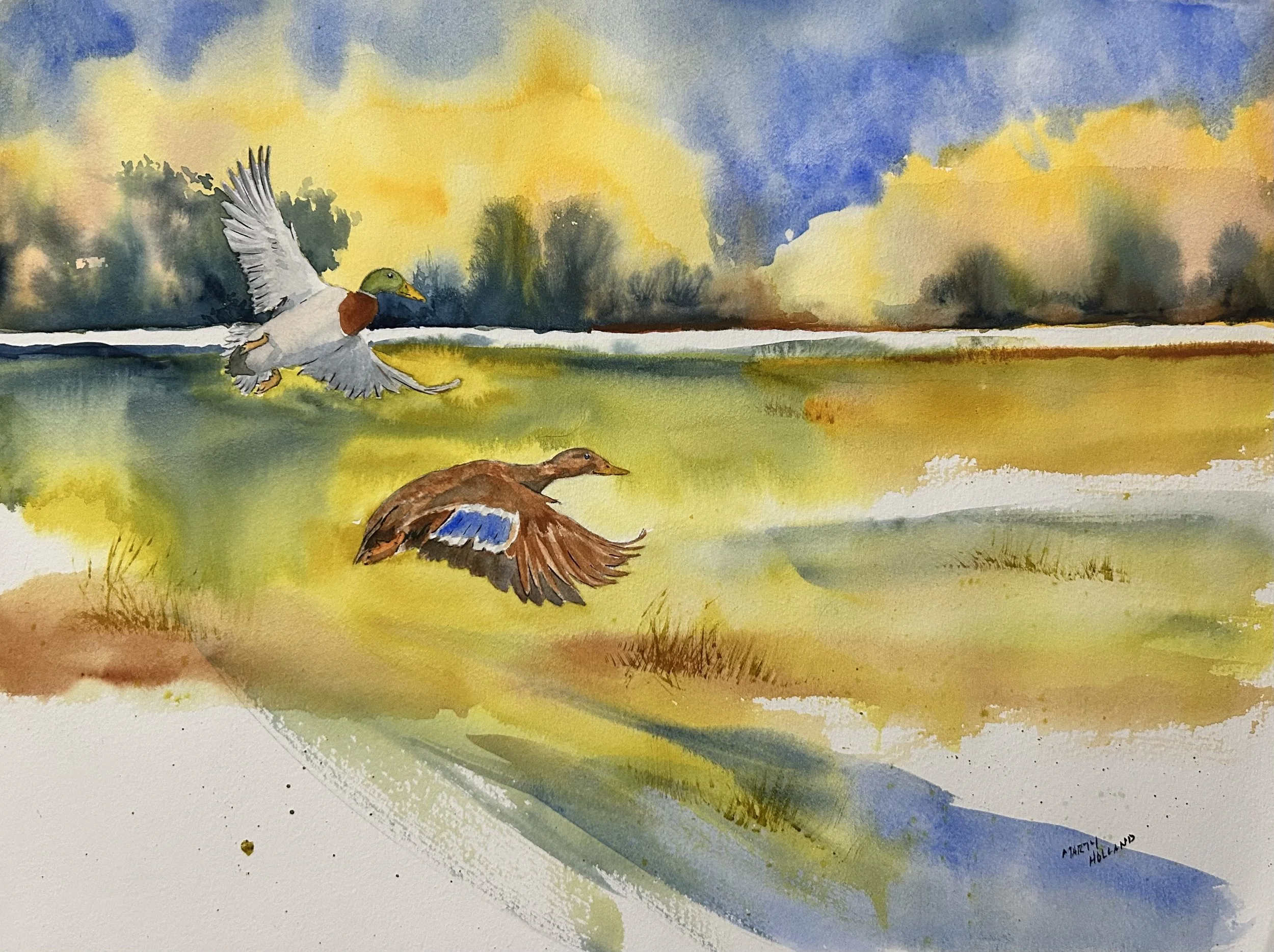 Mallard Flight