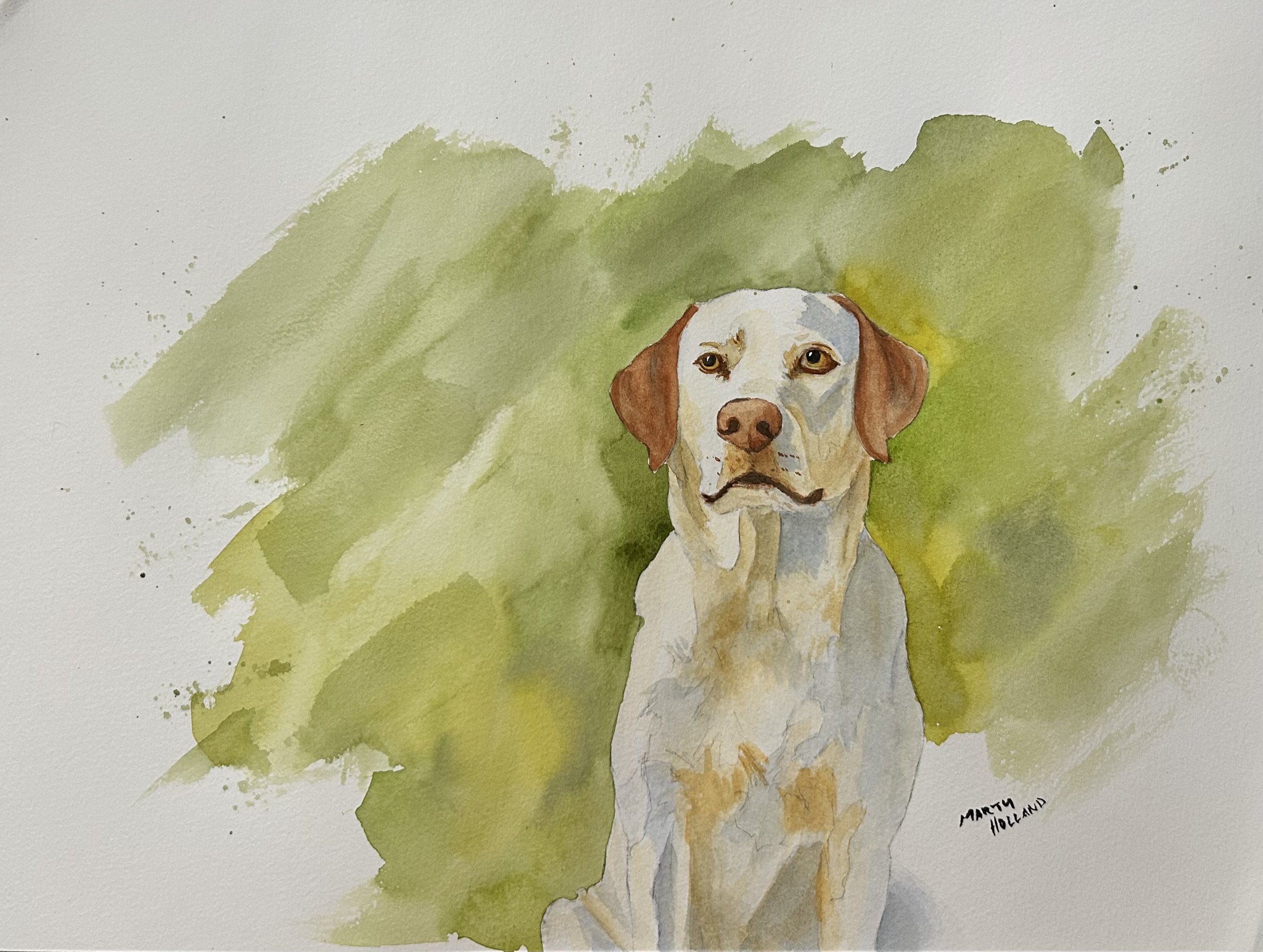 Tucker - Starting at $26, transform your living space with this stunning Matte Canvas print. Featuring a beautifully rendered watercolor illustration, this canvas adds a touch of elegance and creativity to any room. Perfect for art lovers and pet own