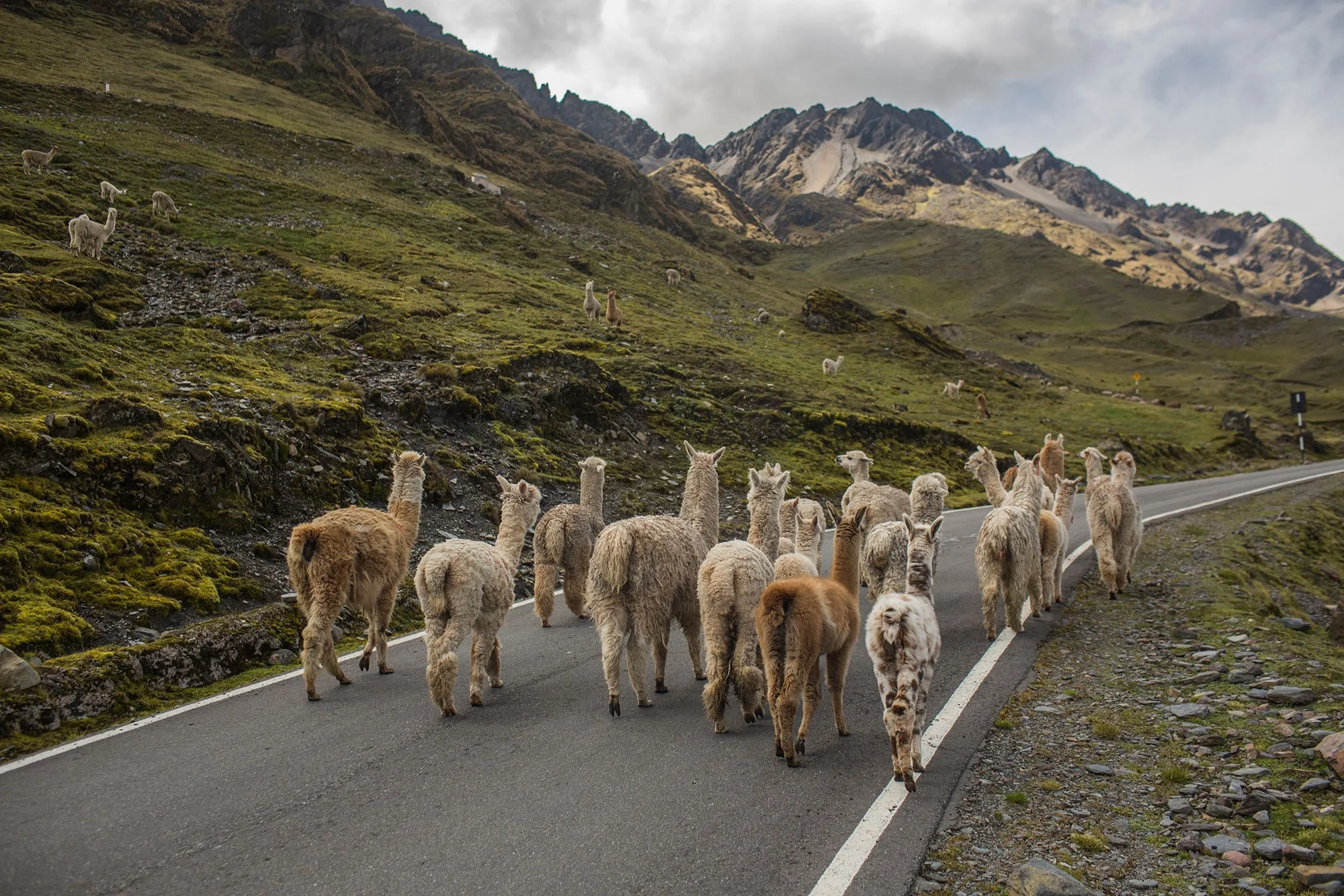 Mountain Lodges of Peru: Press Trip