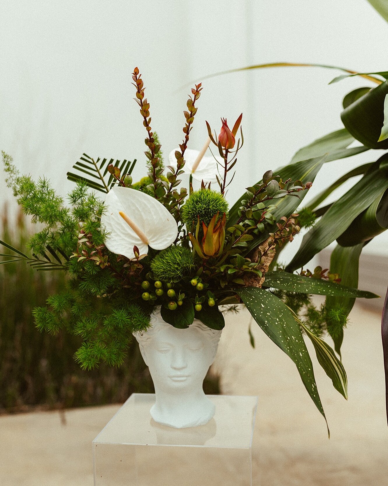 Let&rsquo;s root for one another and watch each other grow 🌿

At The Plant Venue, we love connecting event hosts with quality vendors to bring their unique event to life! Now available on the website, the online Vendor Directory features a great lis