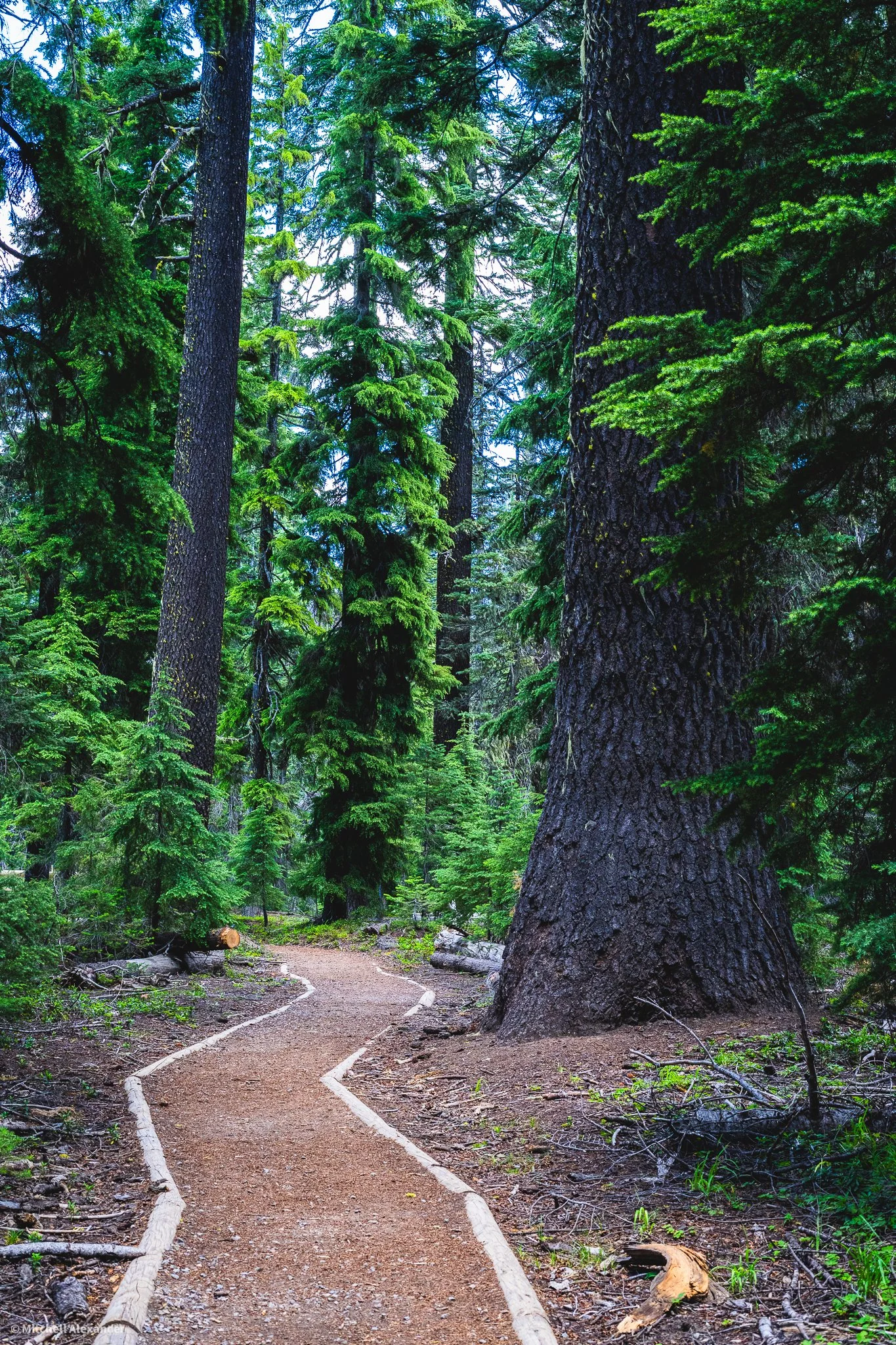 _DSC9102.jpg