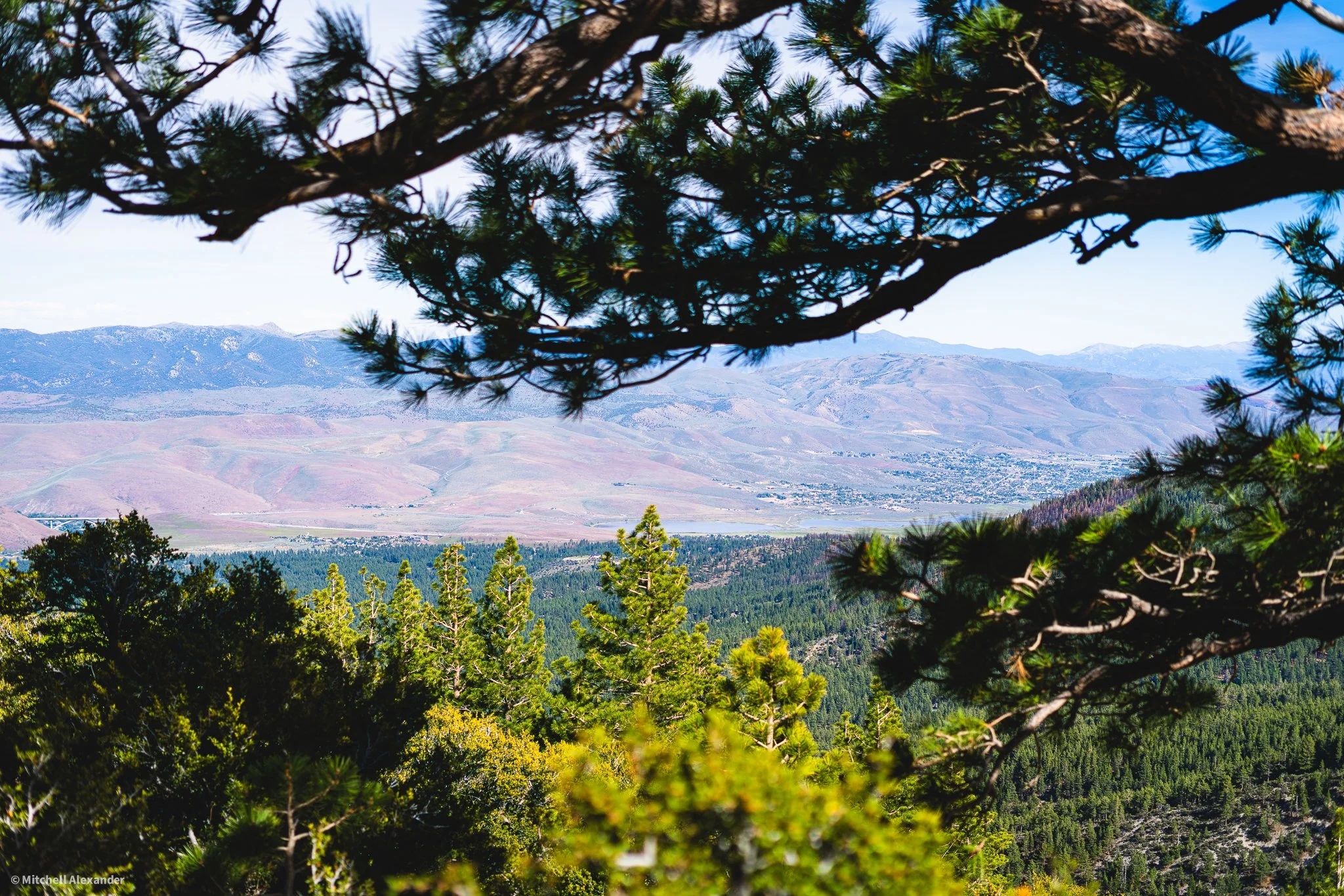 _DSC8926.jpg