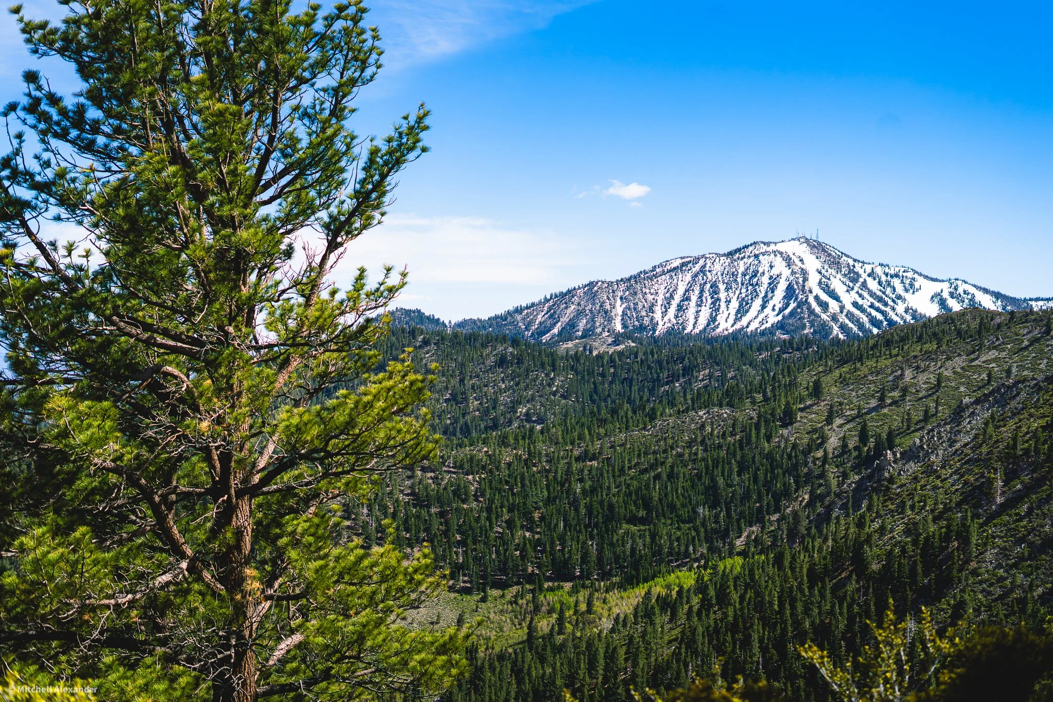_DSC8905.jpg