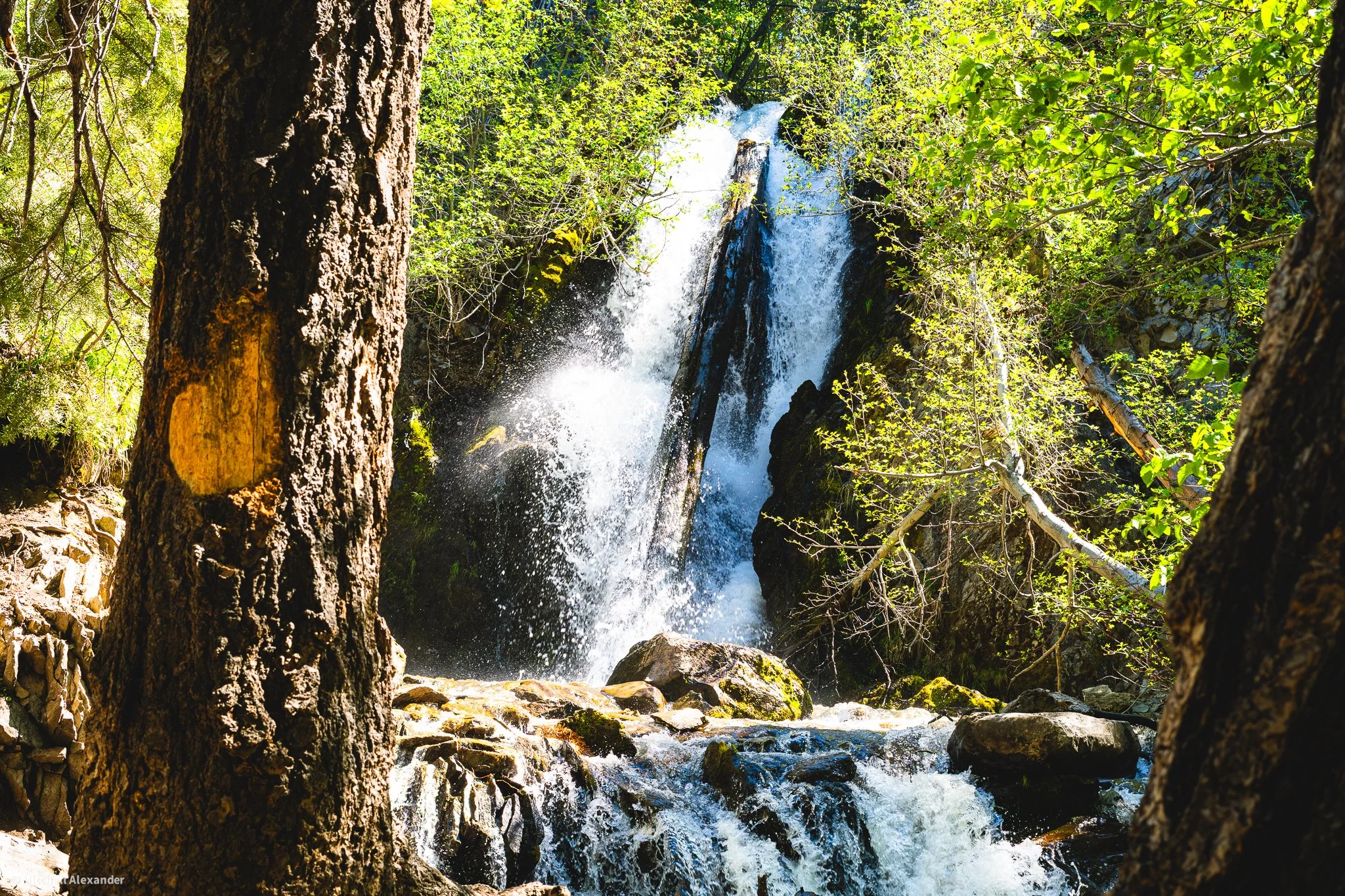 _DSC8893.jpg