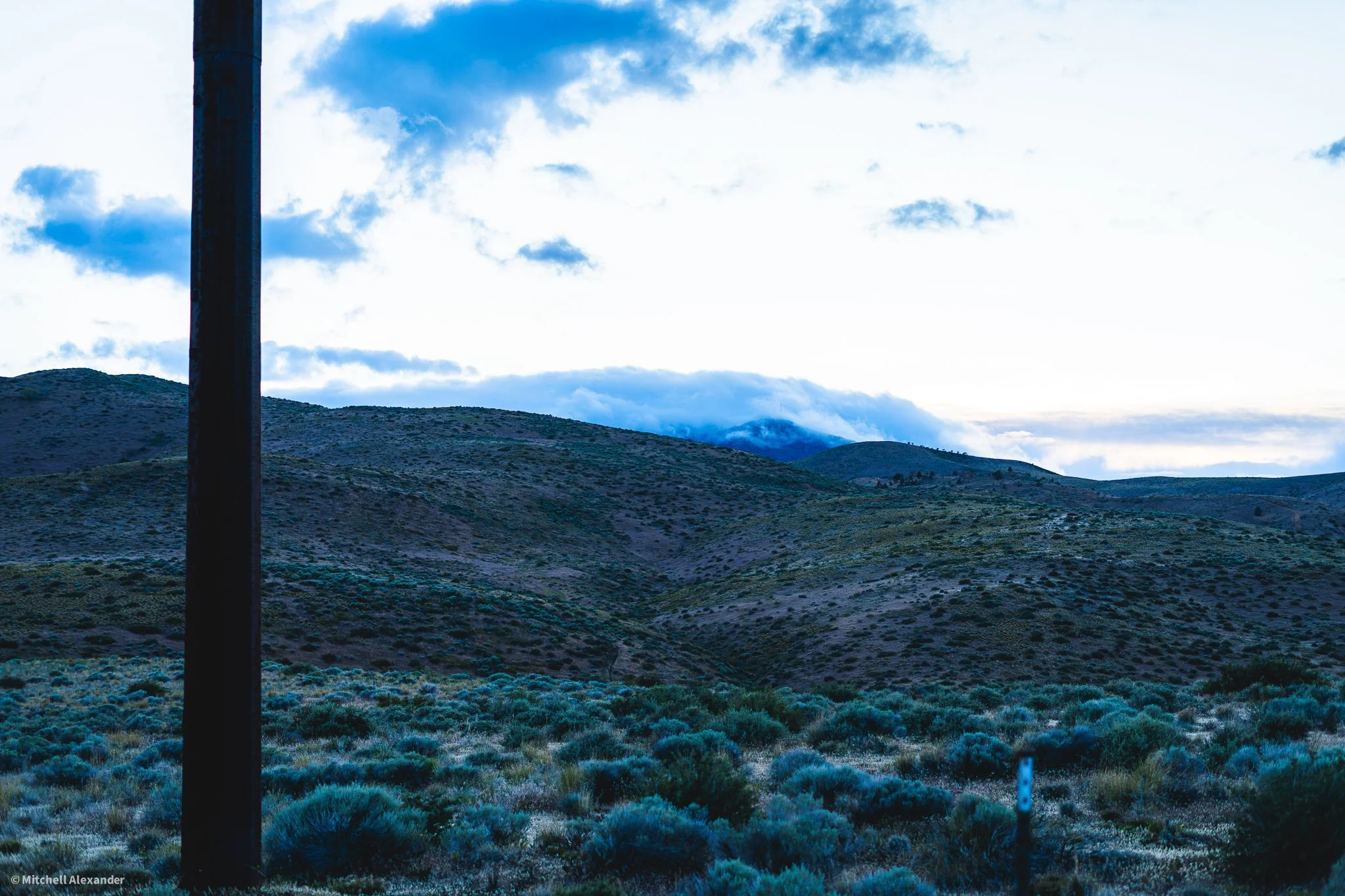 _DSC8987.jpg