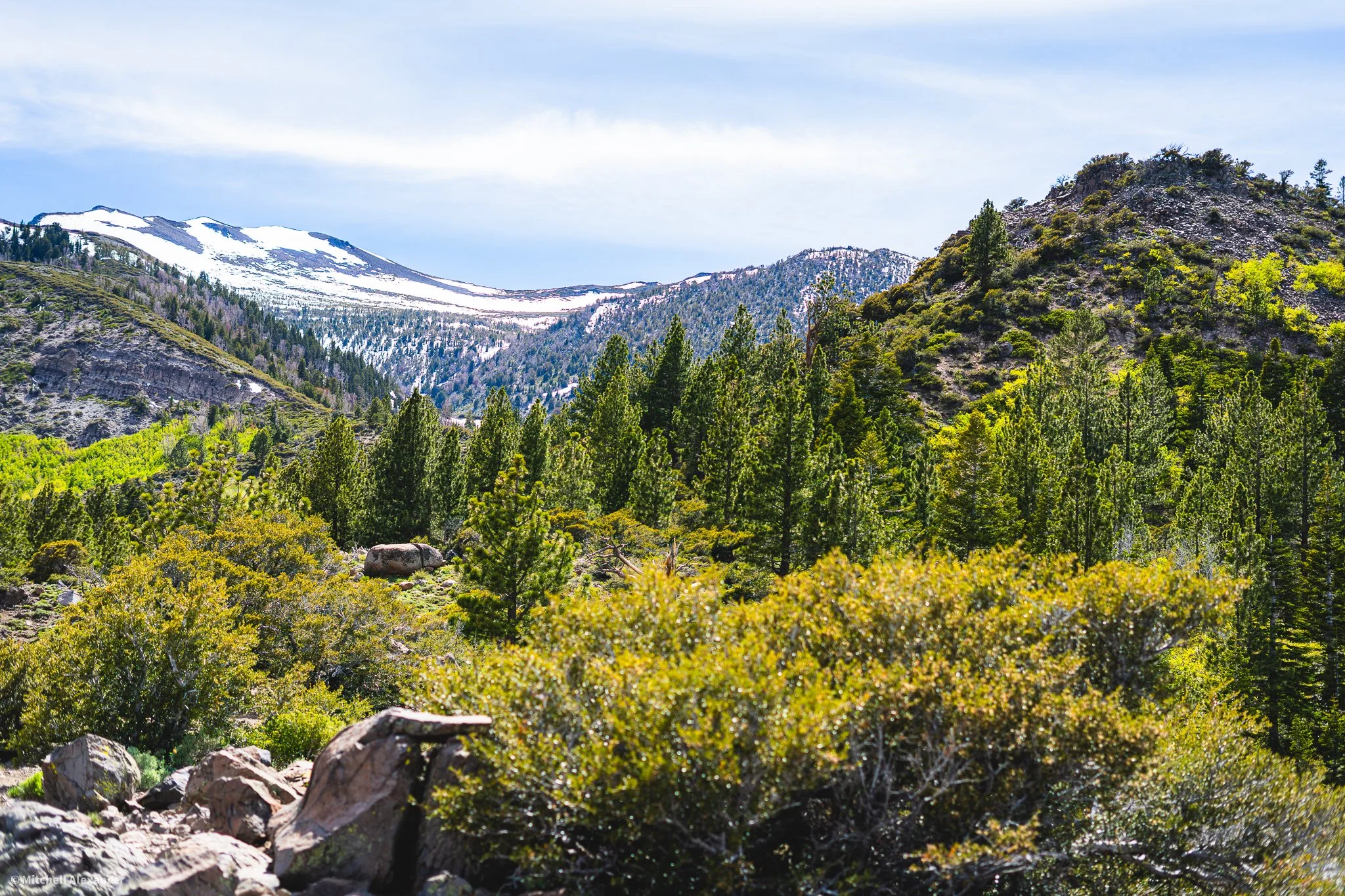 _DSC8913.jpg