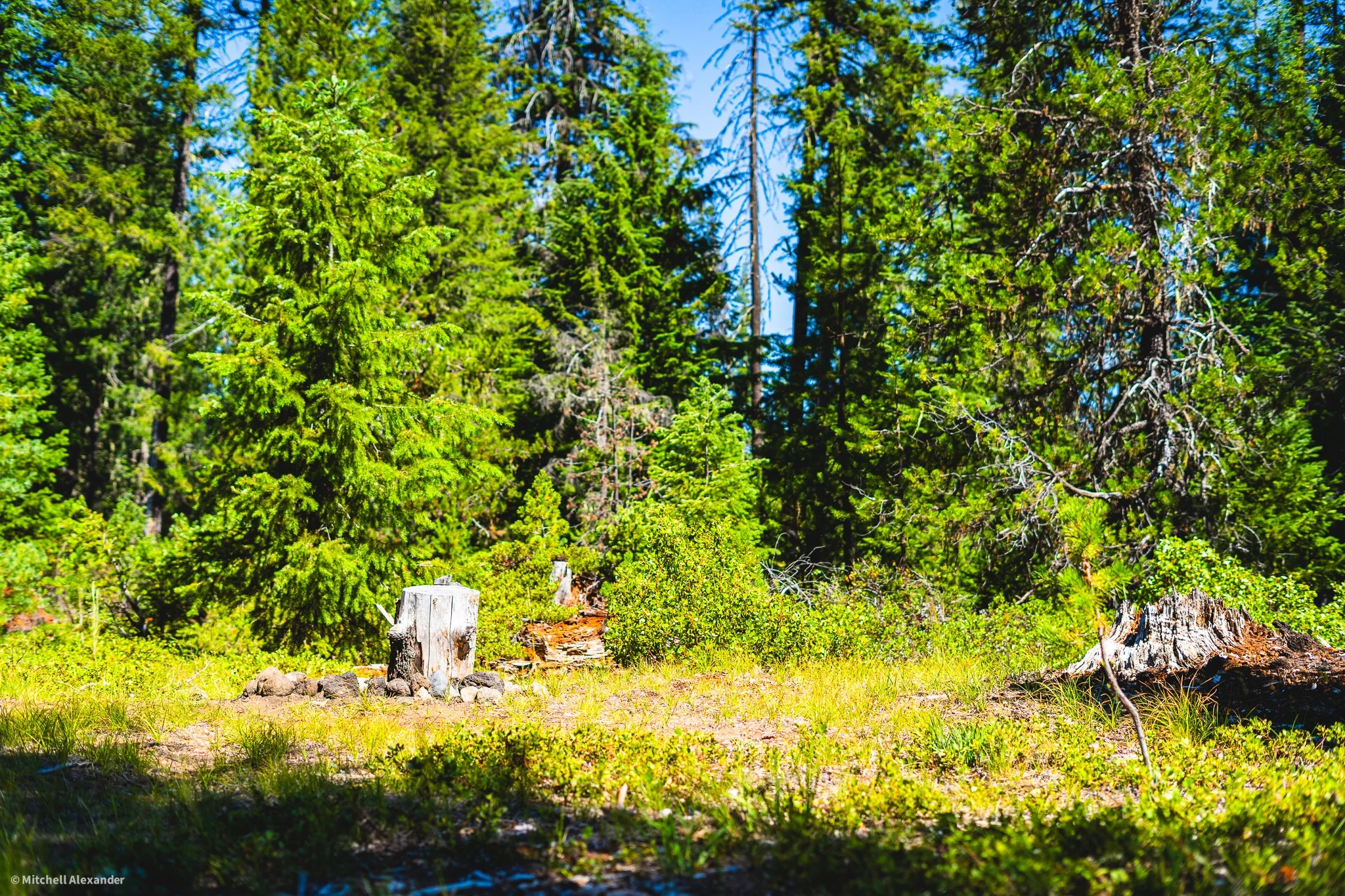 _DSC9091.jpg